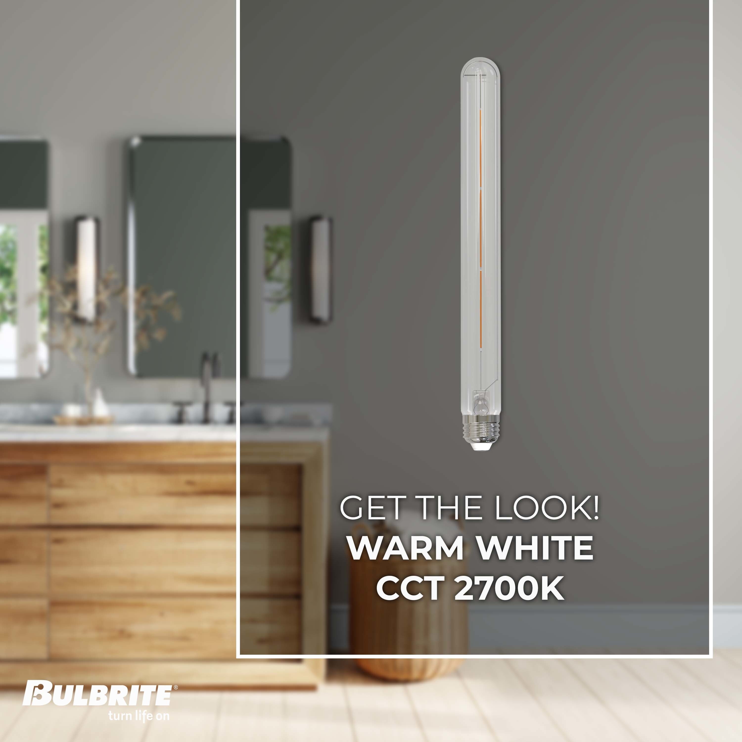 Bulbrite 861365 Dec-Led-Light-Bulbs - View #2