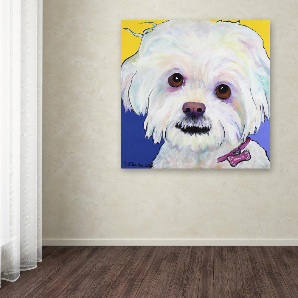 Trademark Fine Art PS180-C2424GG Wall-Art - View #3