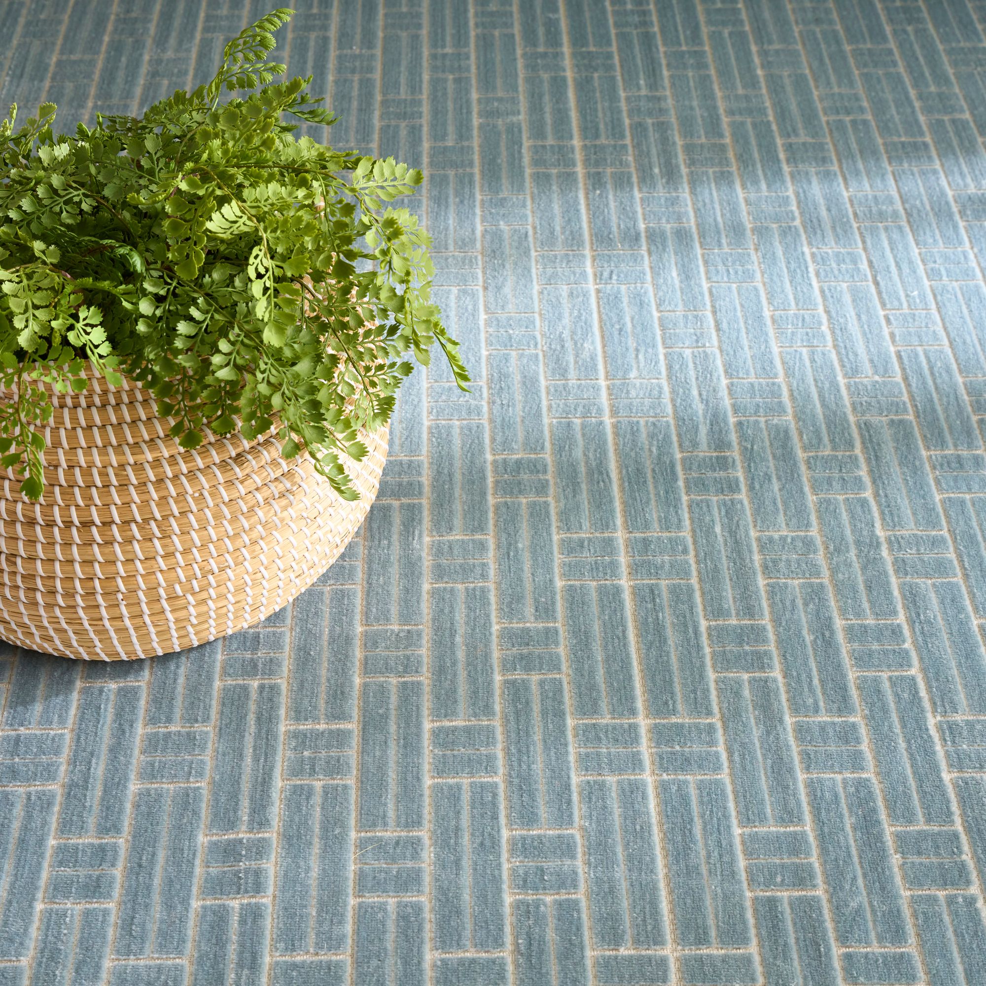 Nourison 841491137246 rugs - View #3