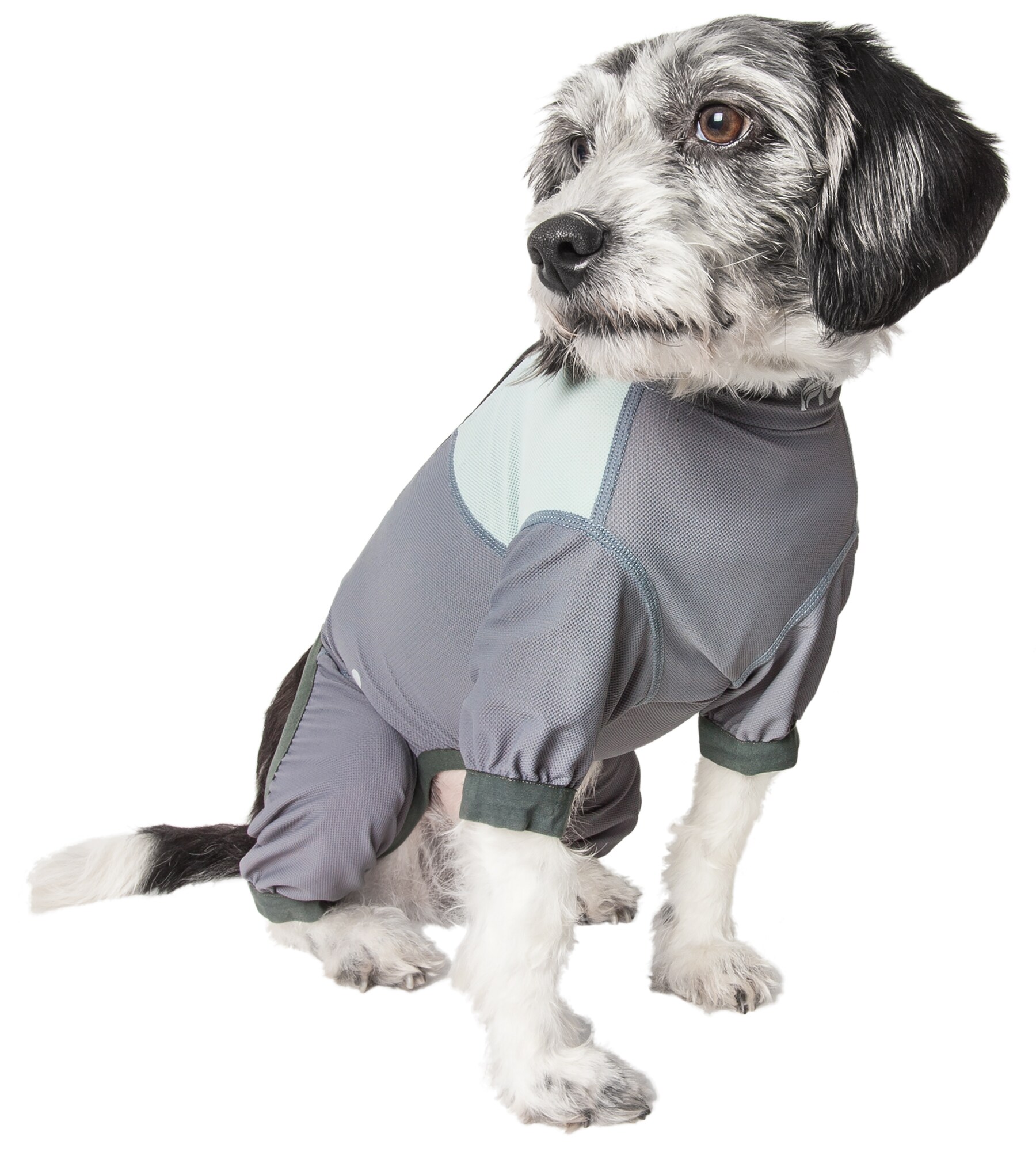Dog Helios YGHL9GYXS Dog-Apparel - View #2