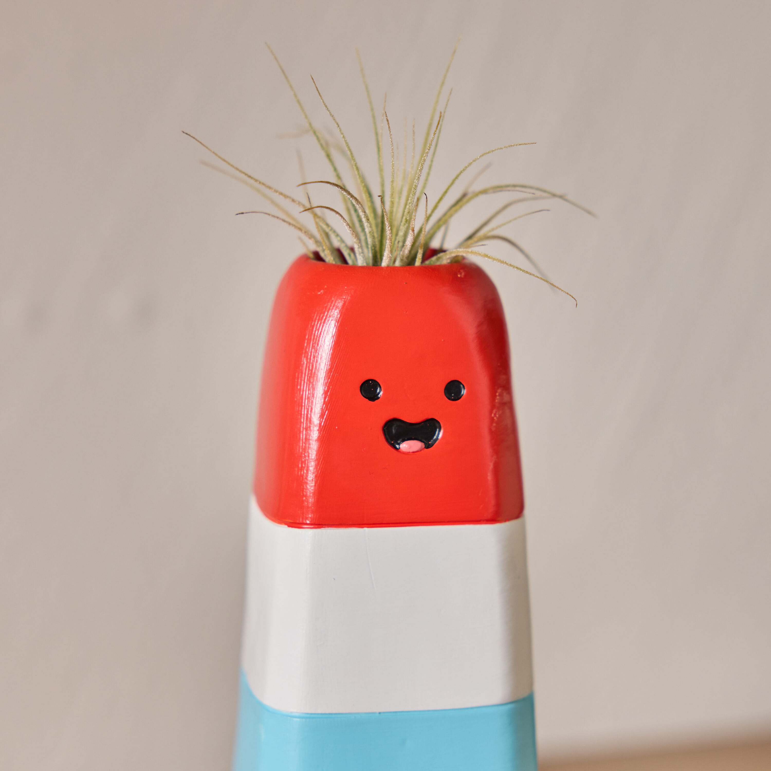 LiveTrends Ice Ice Baby Ceramic Air Plant Figurine - Tillandsia