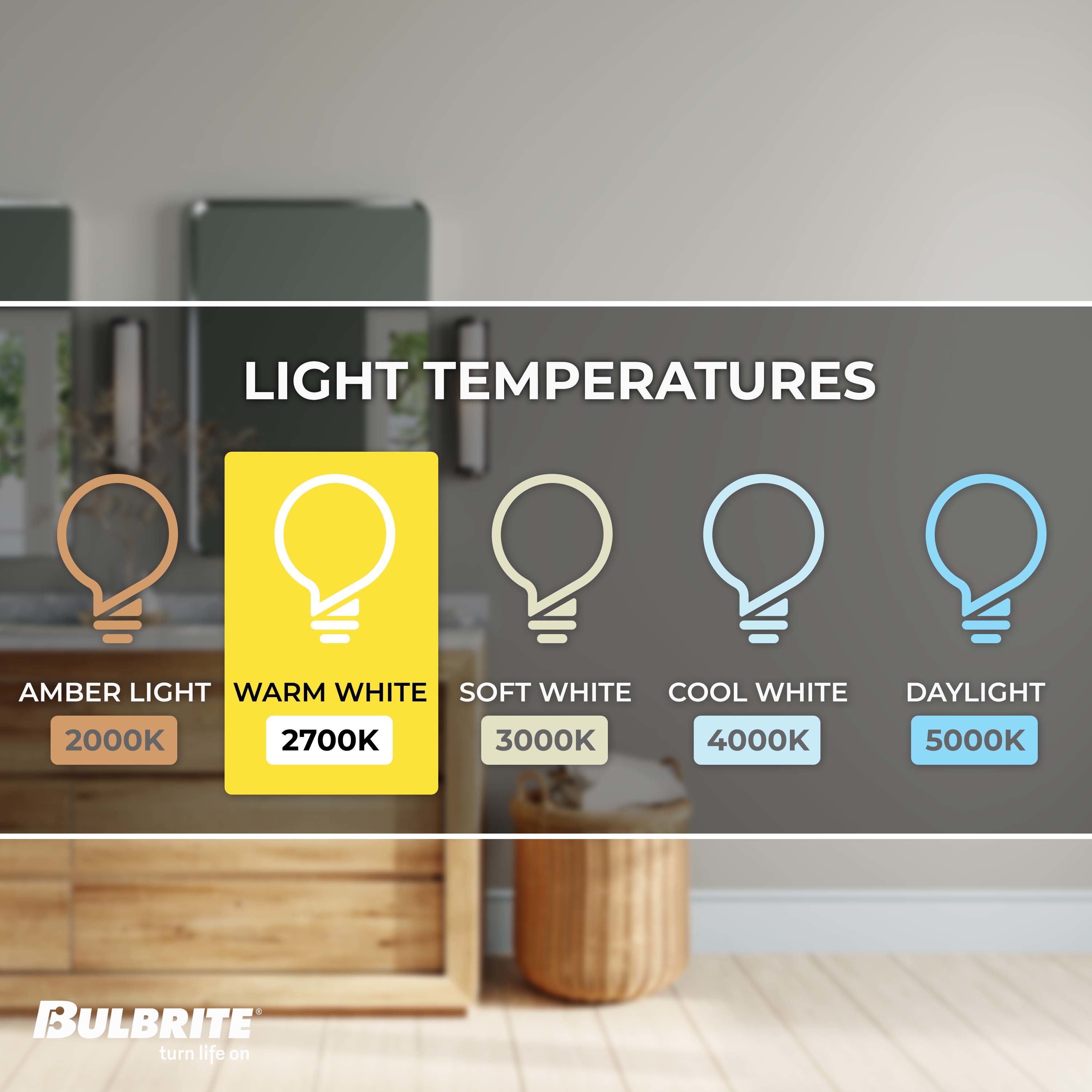 Bulbrite 861365 Dec-Led-Light-Bulbs - View #3