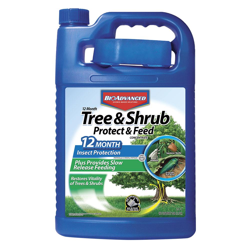BioAdvanced 701915 12 Month Protect and Feed 1-Gallon Tree and Shrub Protect and Feed