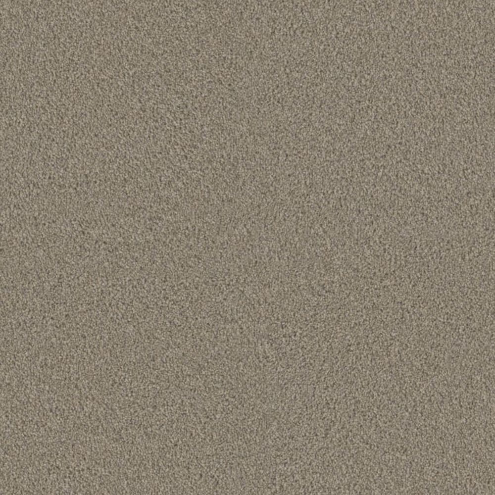 STAINMASTER S8764-729-1200-MO Concerto Stanza Brown 64-oz sq yard Polyester Textured Indoor Carpet