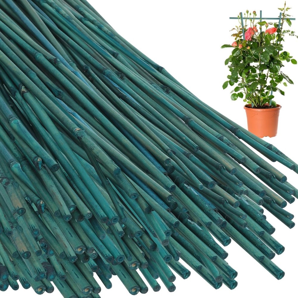 YOSIMFUR Green Dyed 3FT Bamboo Plant Stakes 50 Pack with Twist Ties Tall Garden Support Poles for Tomatoes Beans Flowers Trees Potted and Climbing Plants Indoor Outdoor Use