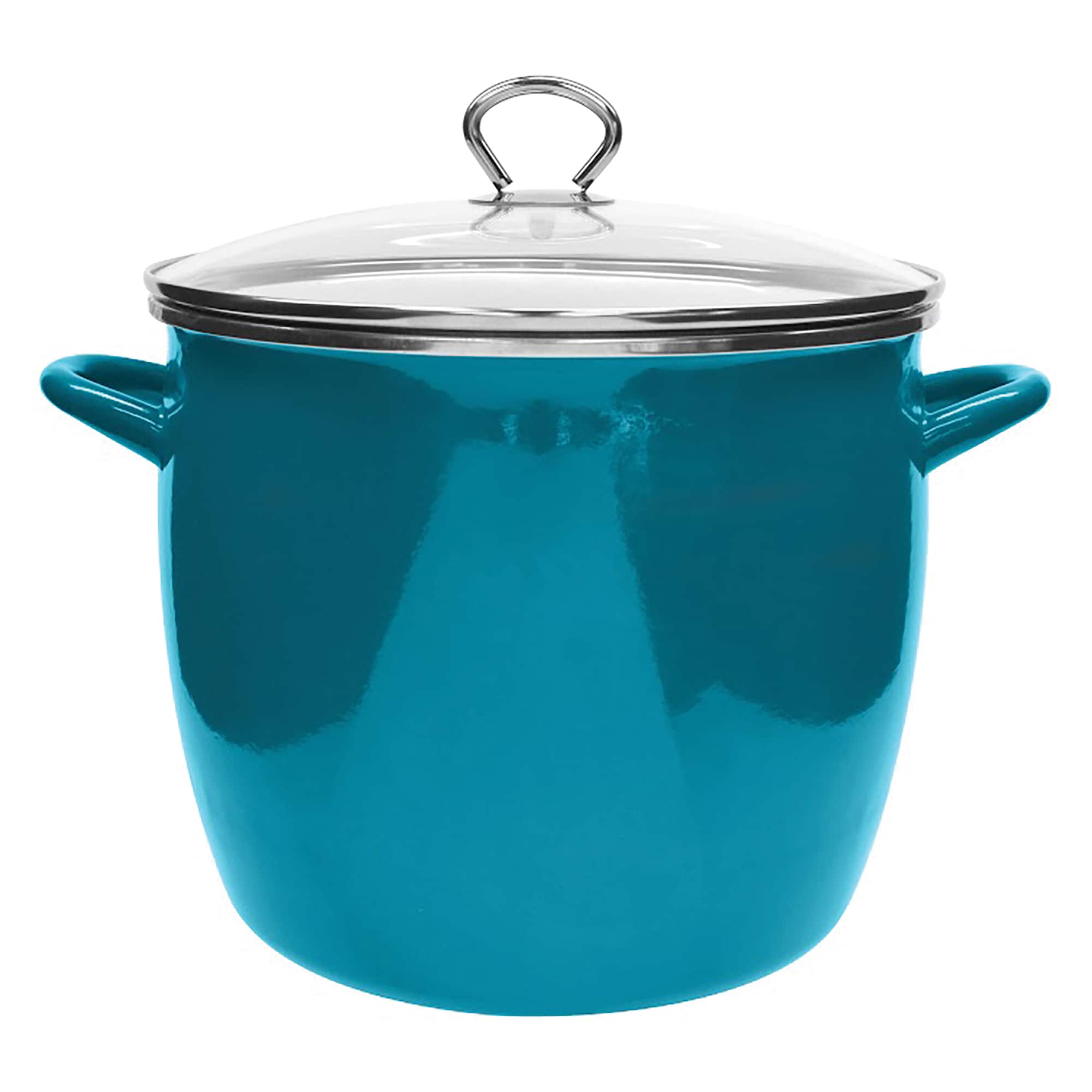 Vasconia EKV4043693 12-Quarts Steel Stock pot