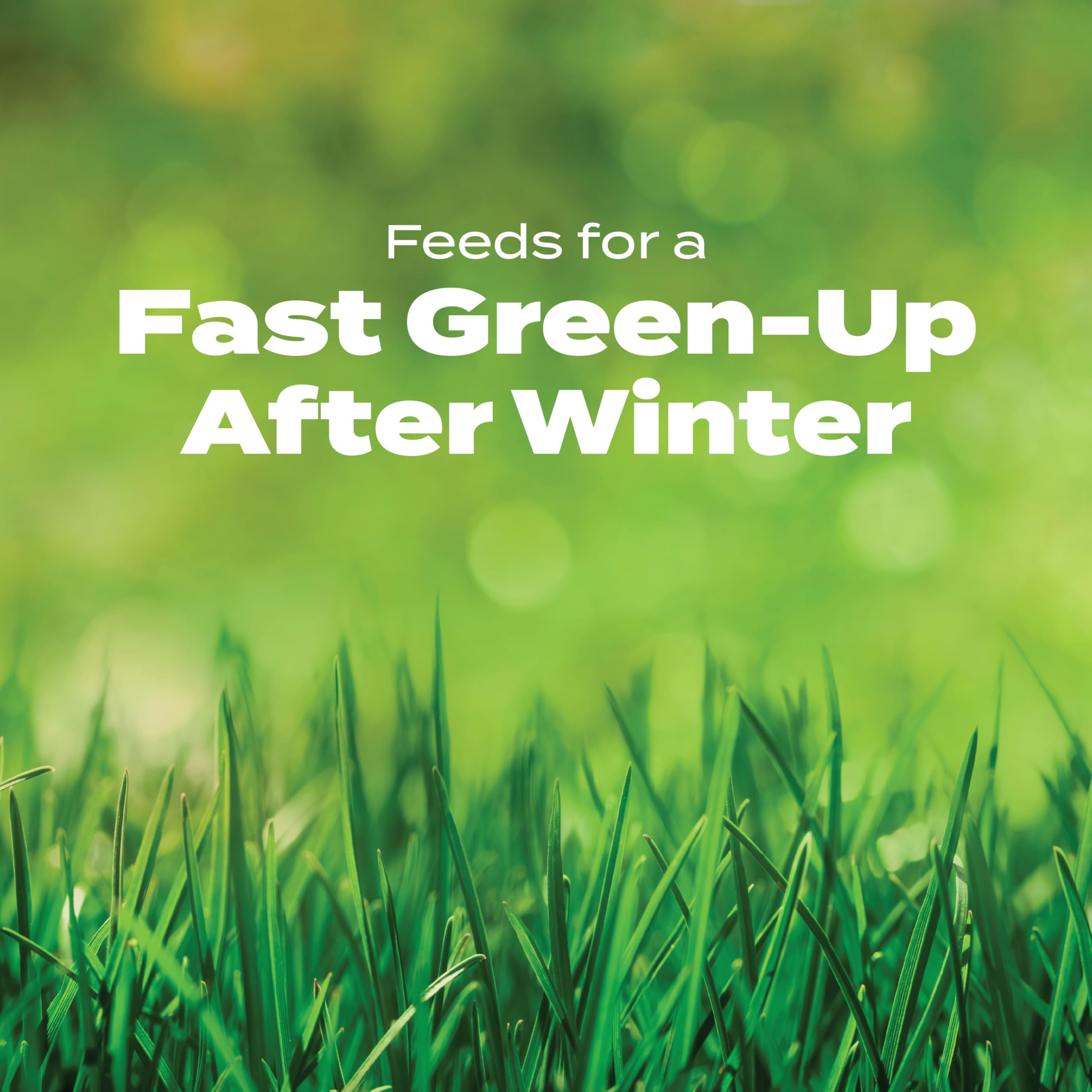 Scotts DIB-AO-735965QTY-2 Lawn-Fertilizer - View #3