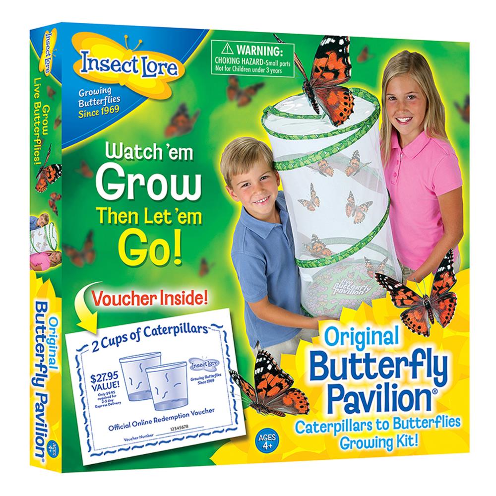 Insect Lore Butterfly Pavilion Growing Kit, Voucher Included at Lowes.com