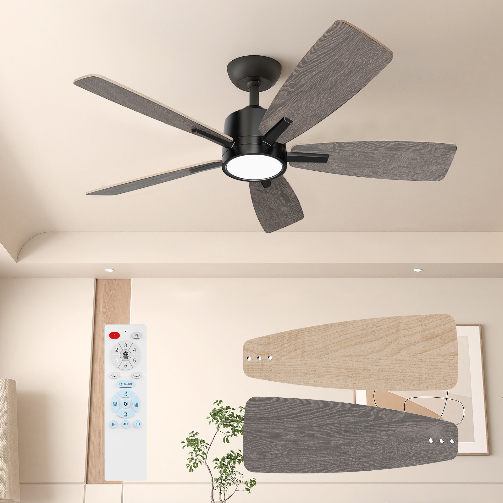 TALOYA TLY42-WE-5D-S5 Ceiling-Fans - View #10