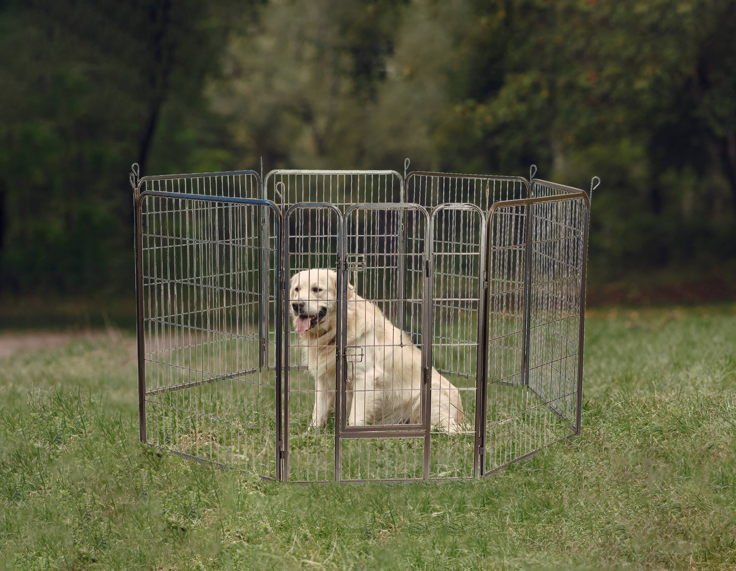 Lowes portable dog fence hotsell