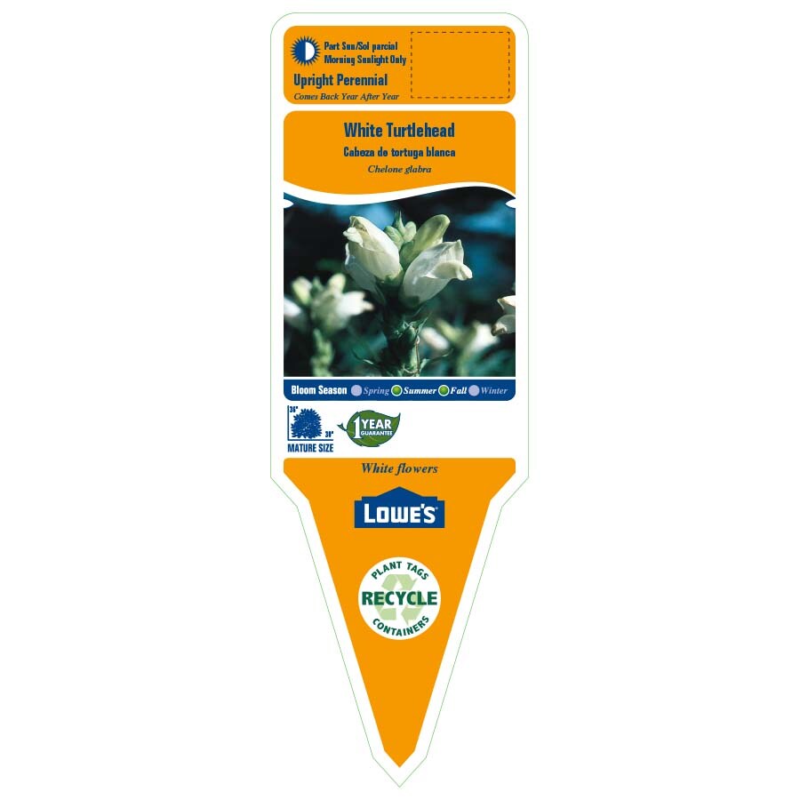 Lowe's NURSERY perennials - View #2