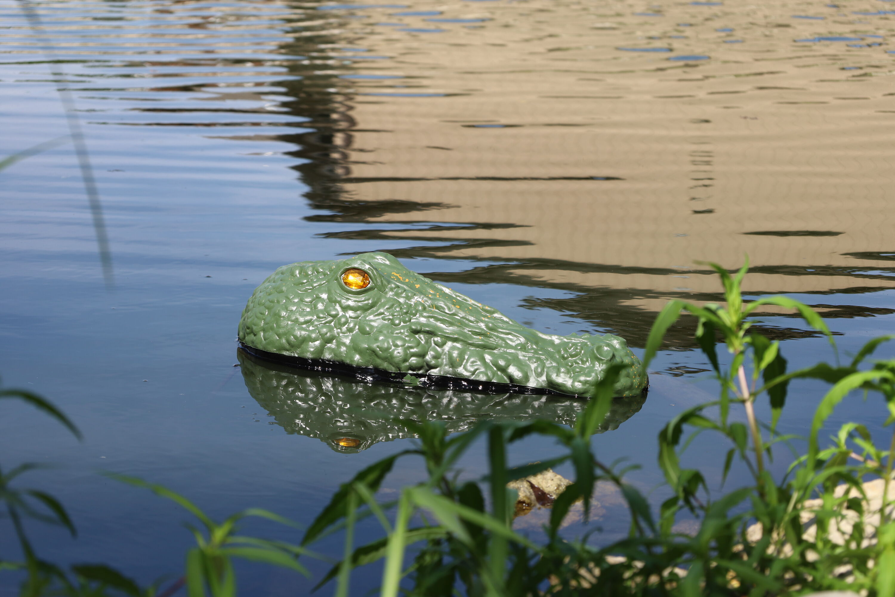 Bird-X GG Animal-Rodent-Control - View #4