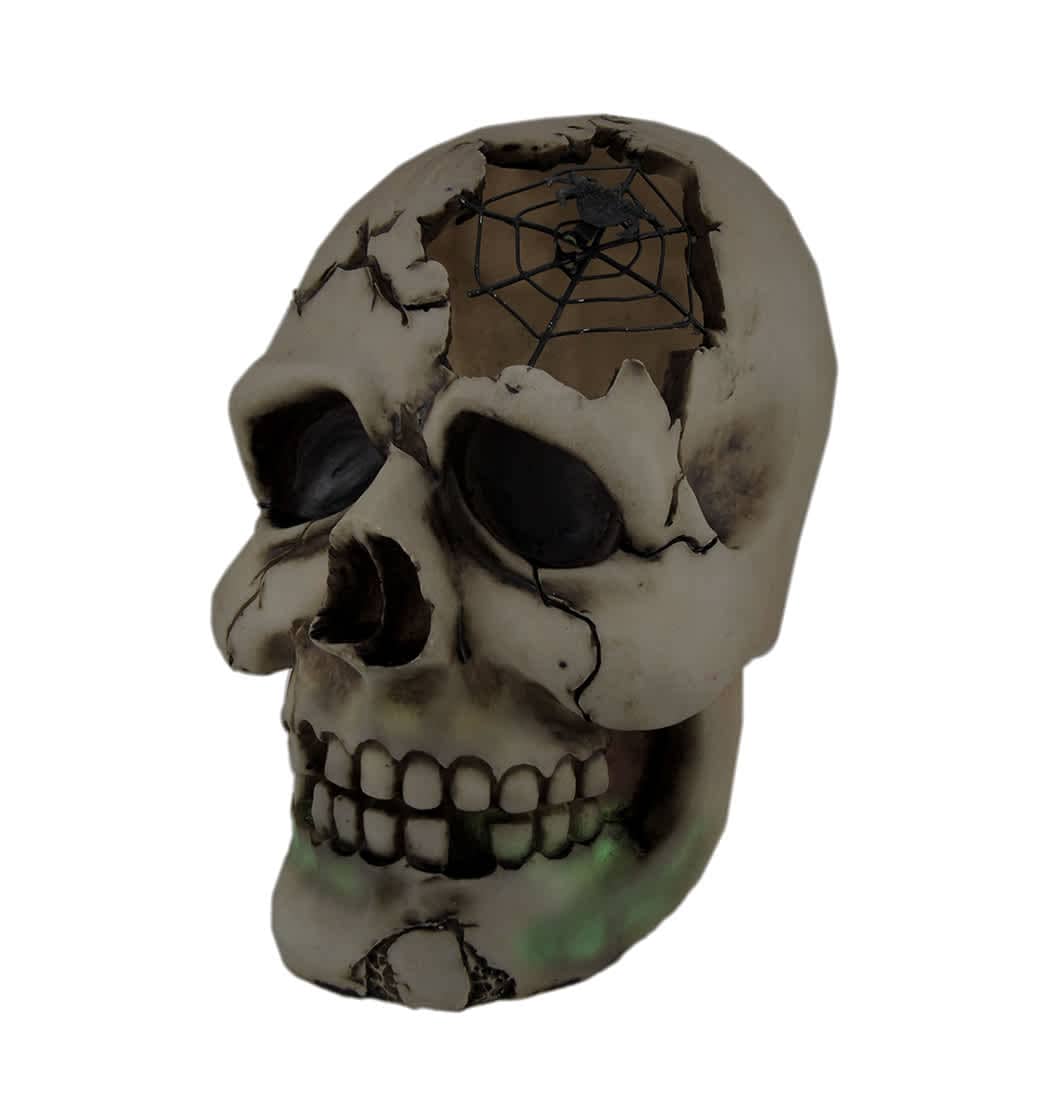 Zeckos DI-306-73644 Color Changing LED Lighted Cracked Skull W-Web Statue