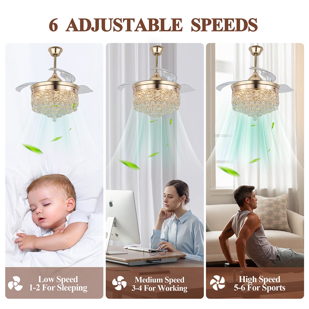 Cusp Barn BD4203-G Ceiling-Fans - View #6