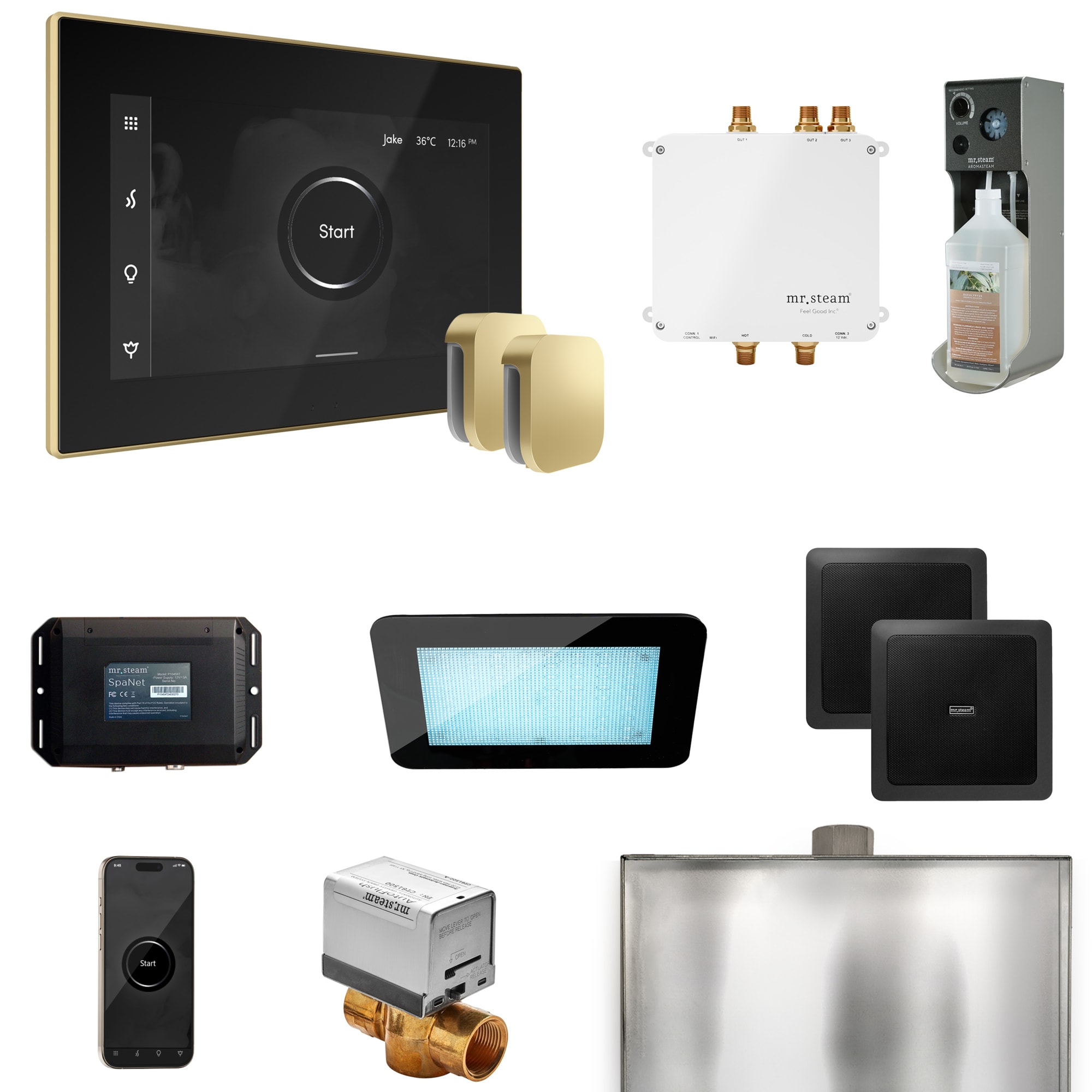 Mr. Steam BLS1-BKXSB Bliss Black - Satin Brass Steam Generator Control Kit