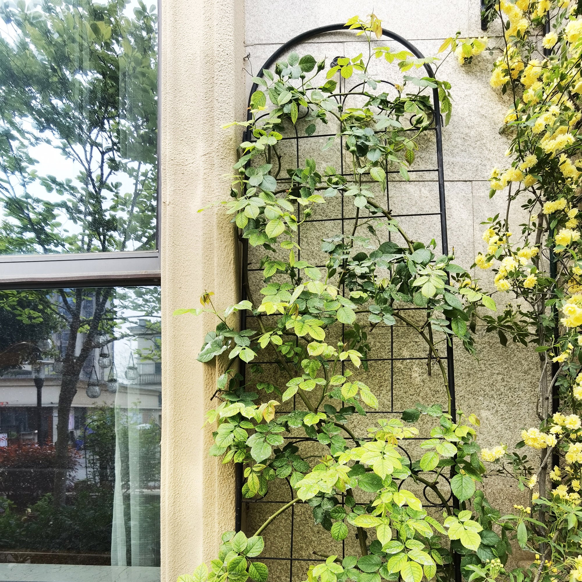 Oizaye ZWG-81069 Garden-Trellis - View #4