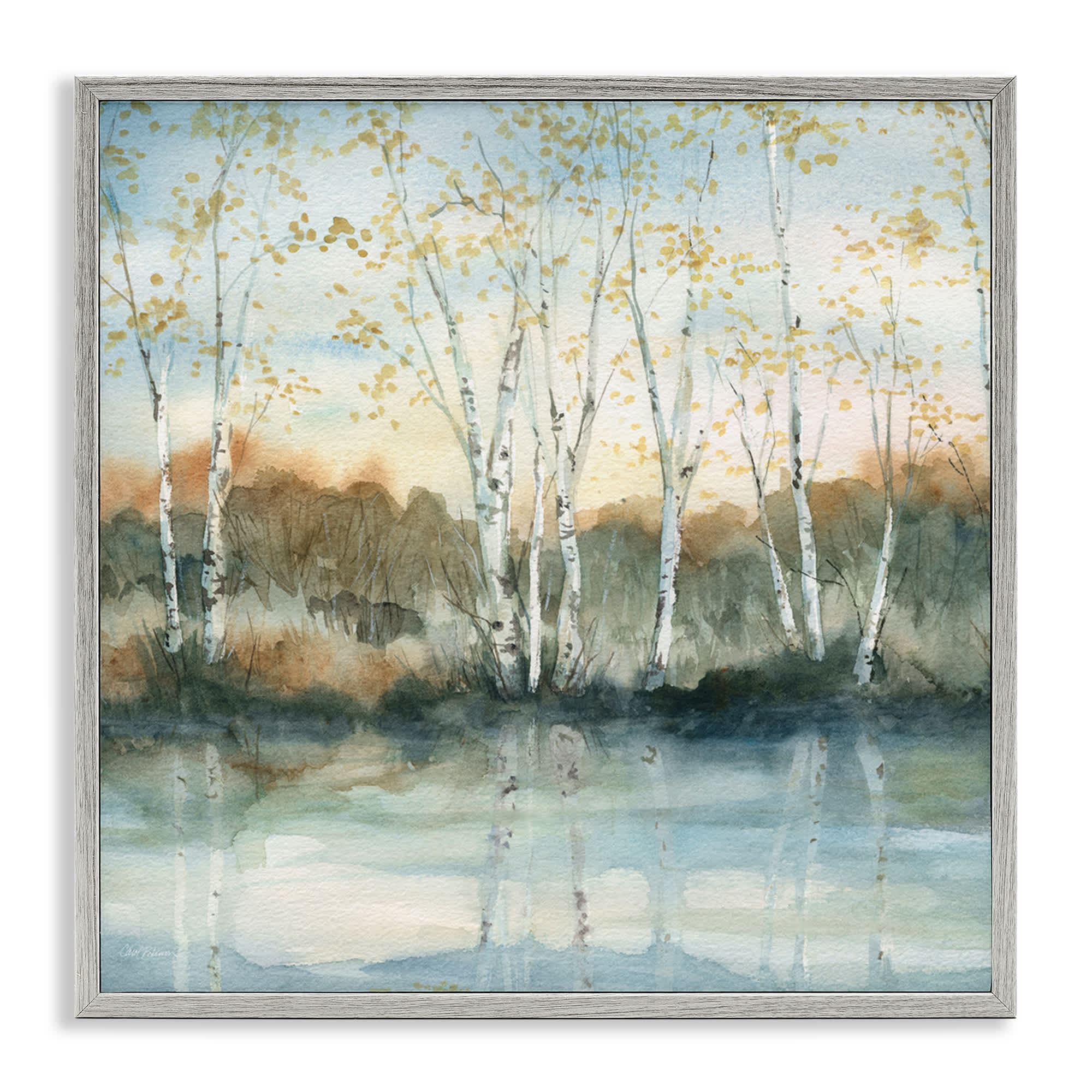 Stupell Industries AO-921-GFF-17X17 Quaint Birch Tree Reflections Gray Framed Giclee Art 17 x 17