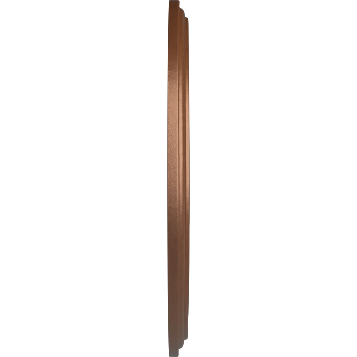 Ekena Millwork CM16GNPOS Ceiling-Medallions - View #3
