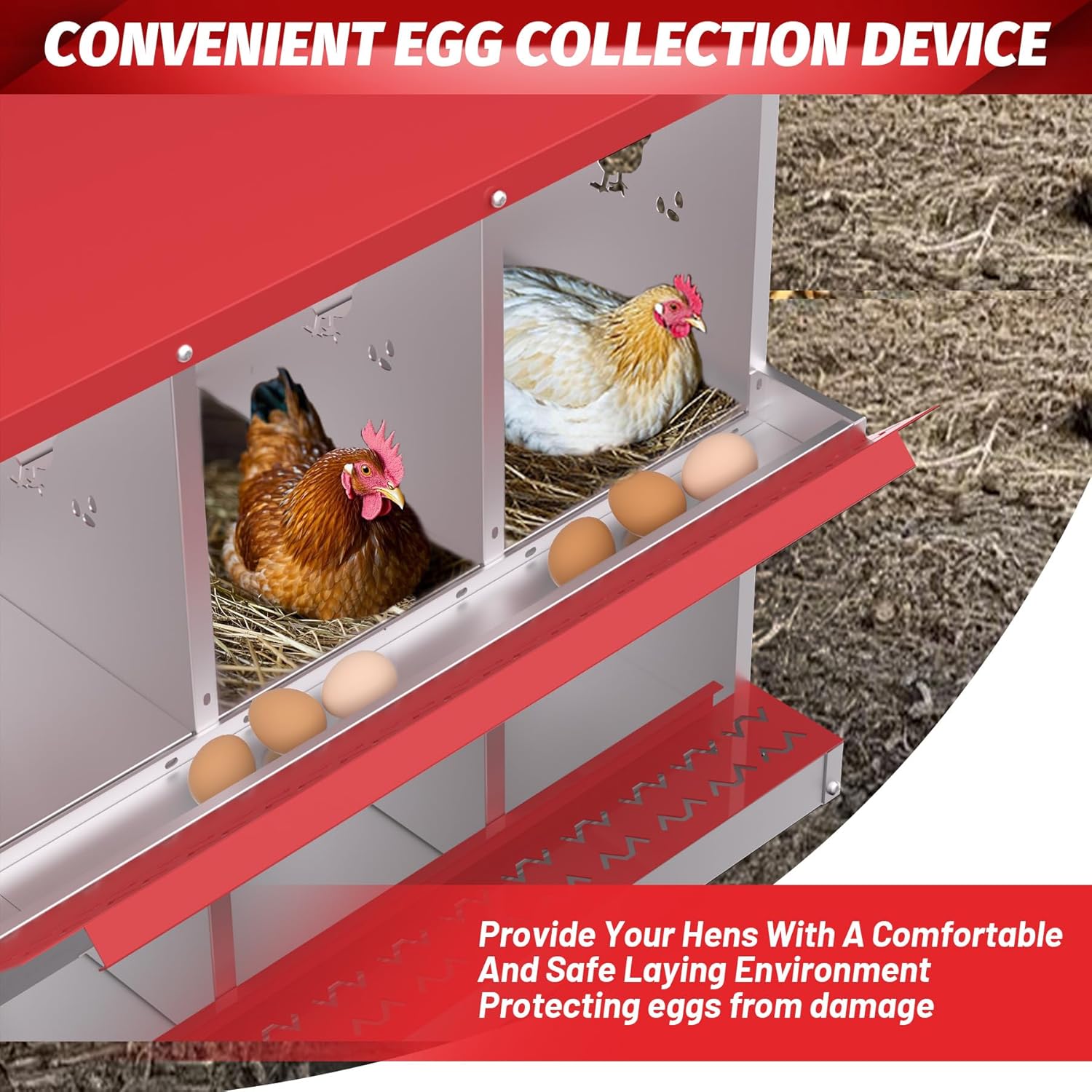 Qeetex GGL-PHO-348S5HJE Chicken-Coops-Rabbit-Hutches - View #7
