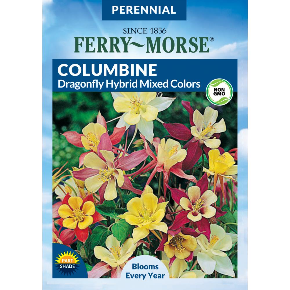 Ferry-Morse Columbine Dragonfly Mixed Colors Flower Seeds (Seed Packet ...