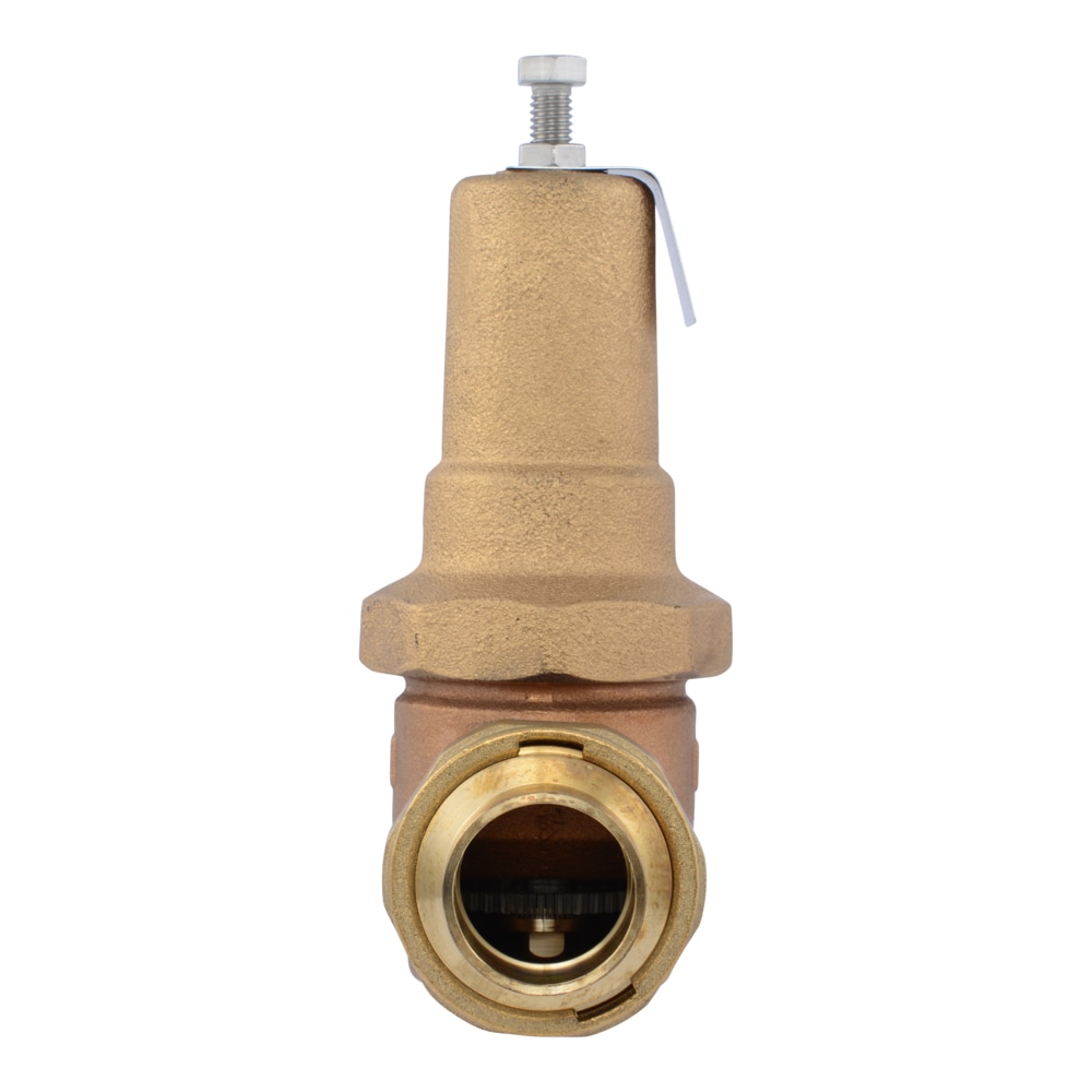 Cash Acme PVA35M-DUSW-60 Pressure-Relief-Valves-Regulators - View #2