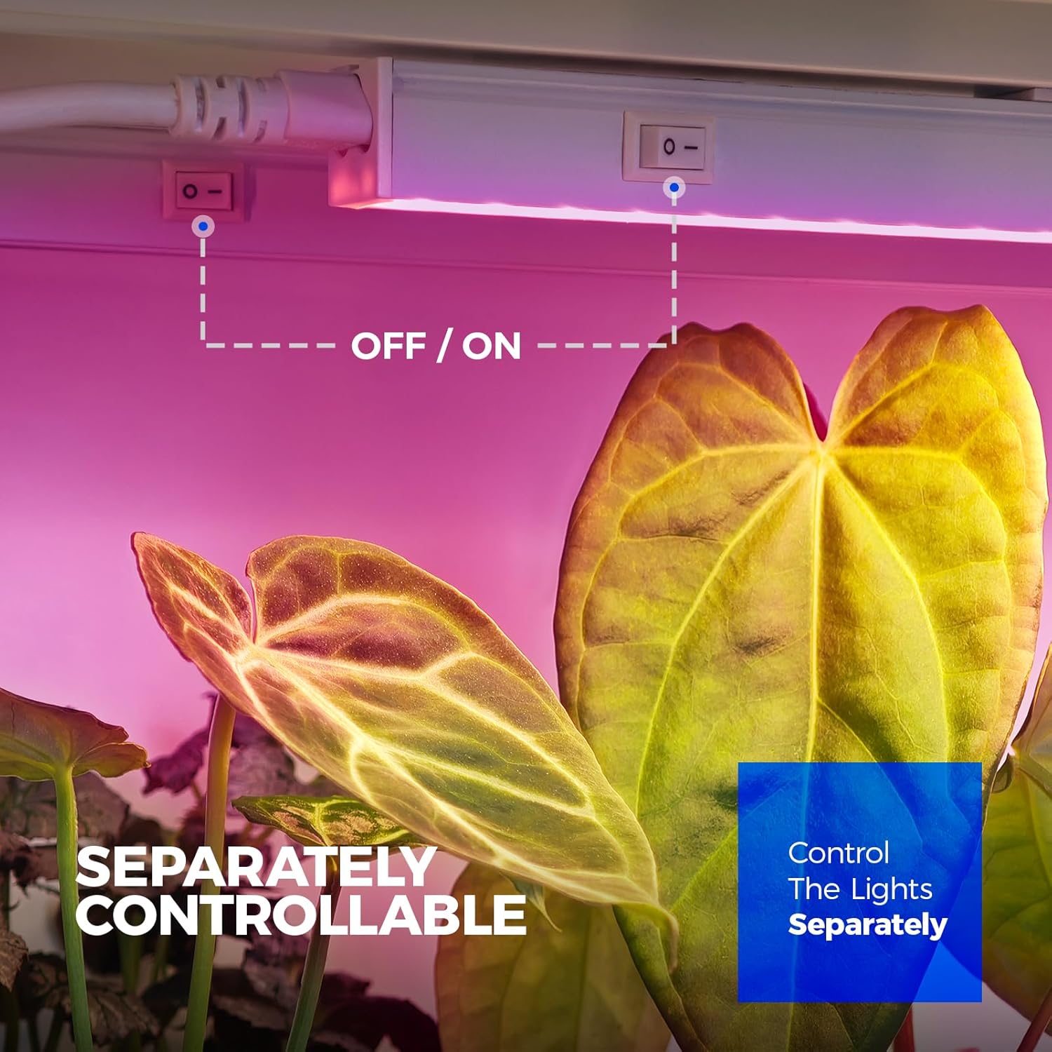 Barrina B09Y8KBZM2 Grow-Lights - View #5