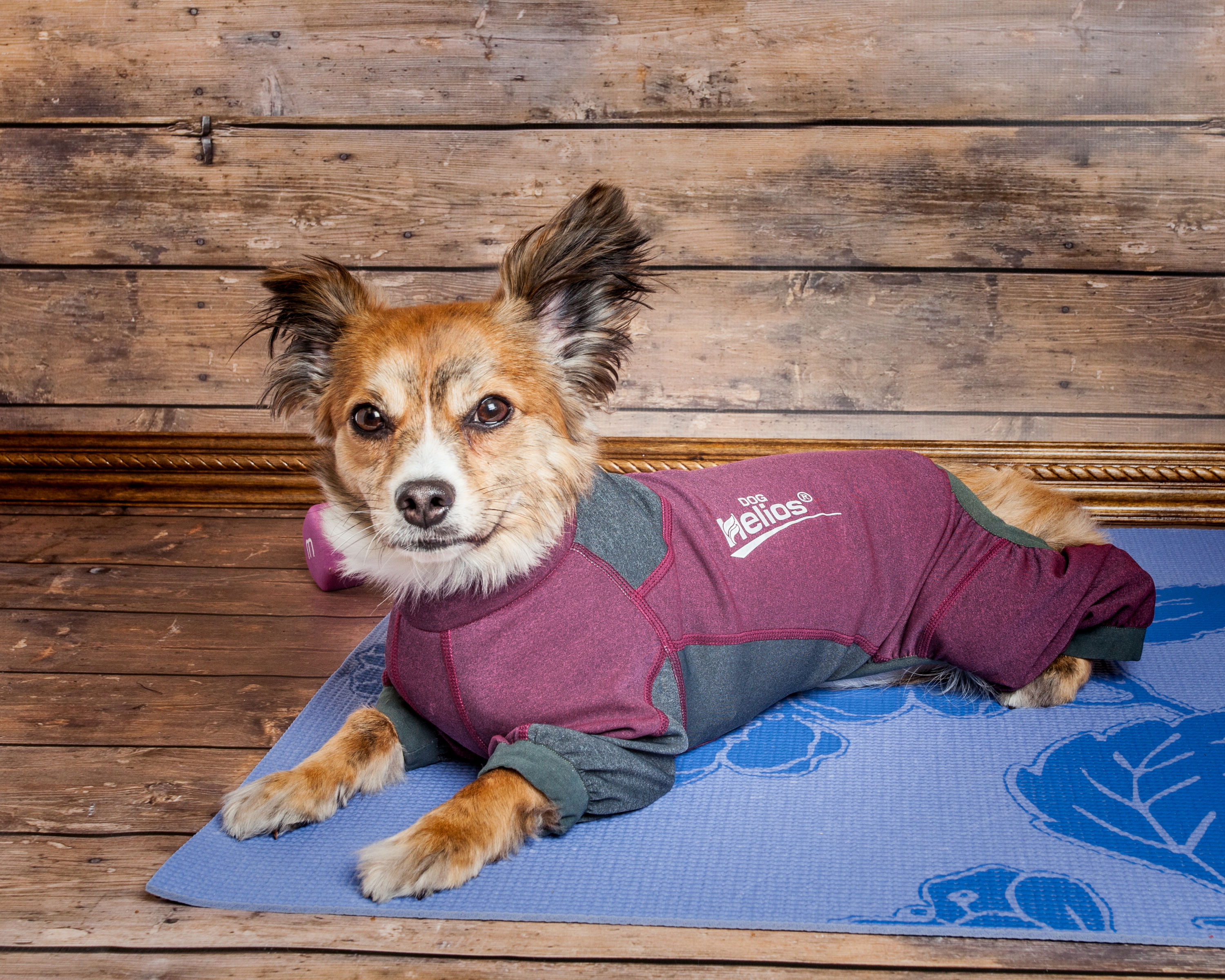 Dog Helios YGHL8PKLG Dog-Apparel - View #9