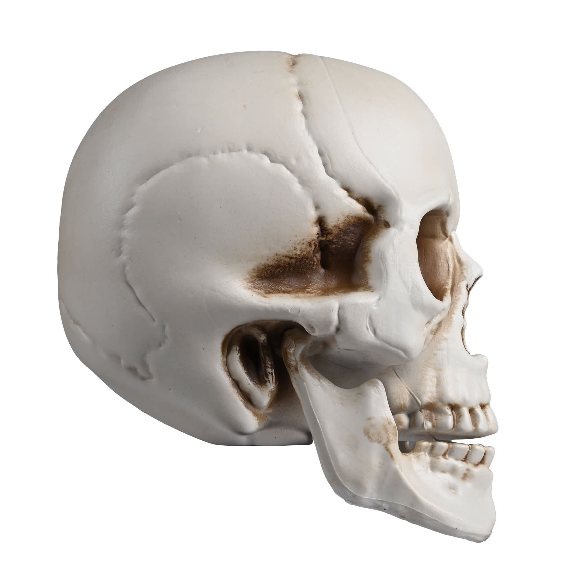 Yescom 60HAL061-KLT4P-LO Decorative-Accessories - View #8