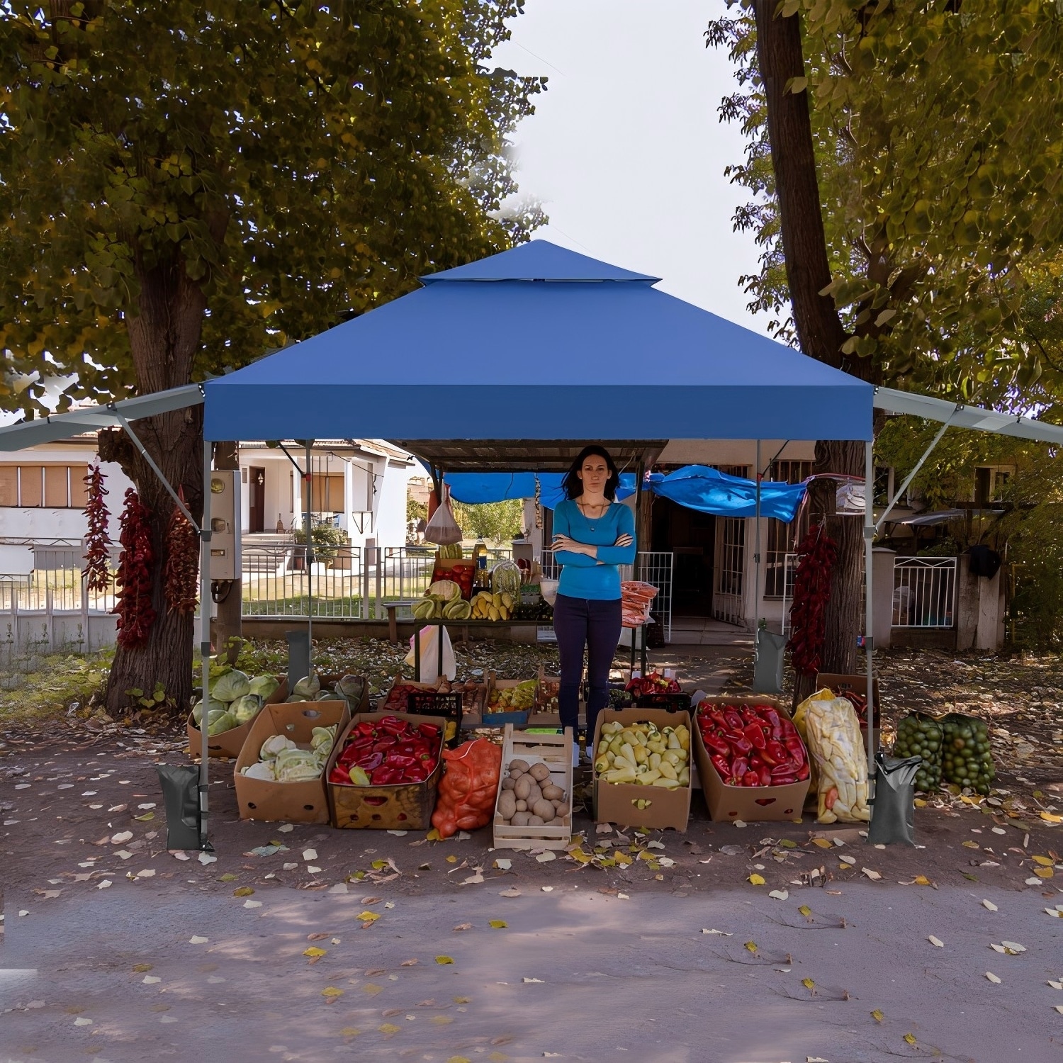 Forclover HBV-0844BL Canopies-Sl - View #9
