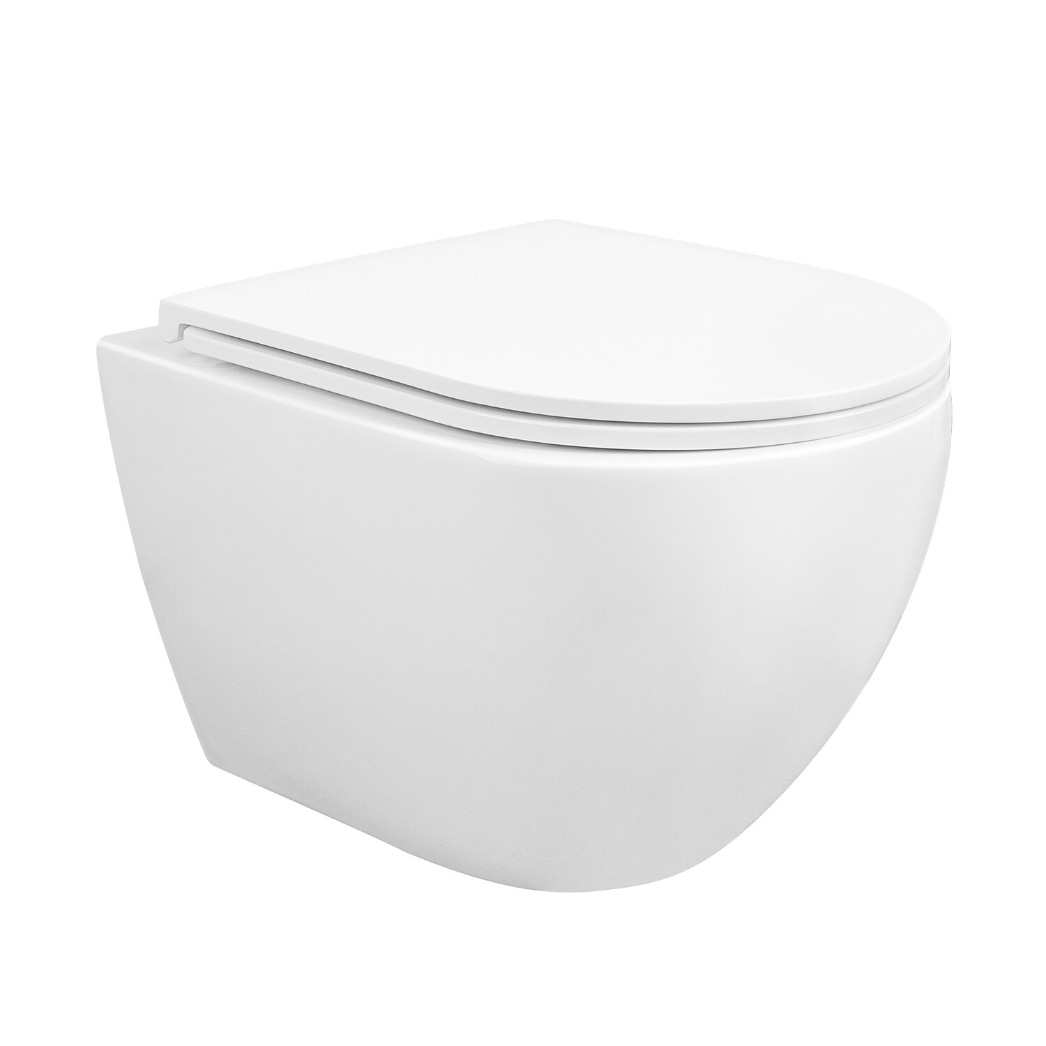 White Ceramic Elongated Wall Mounted Dual Flush Toilet
