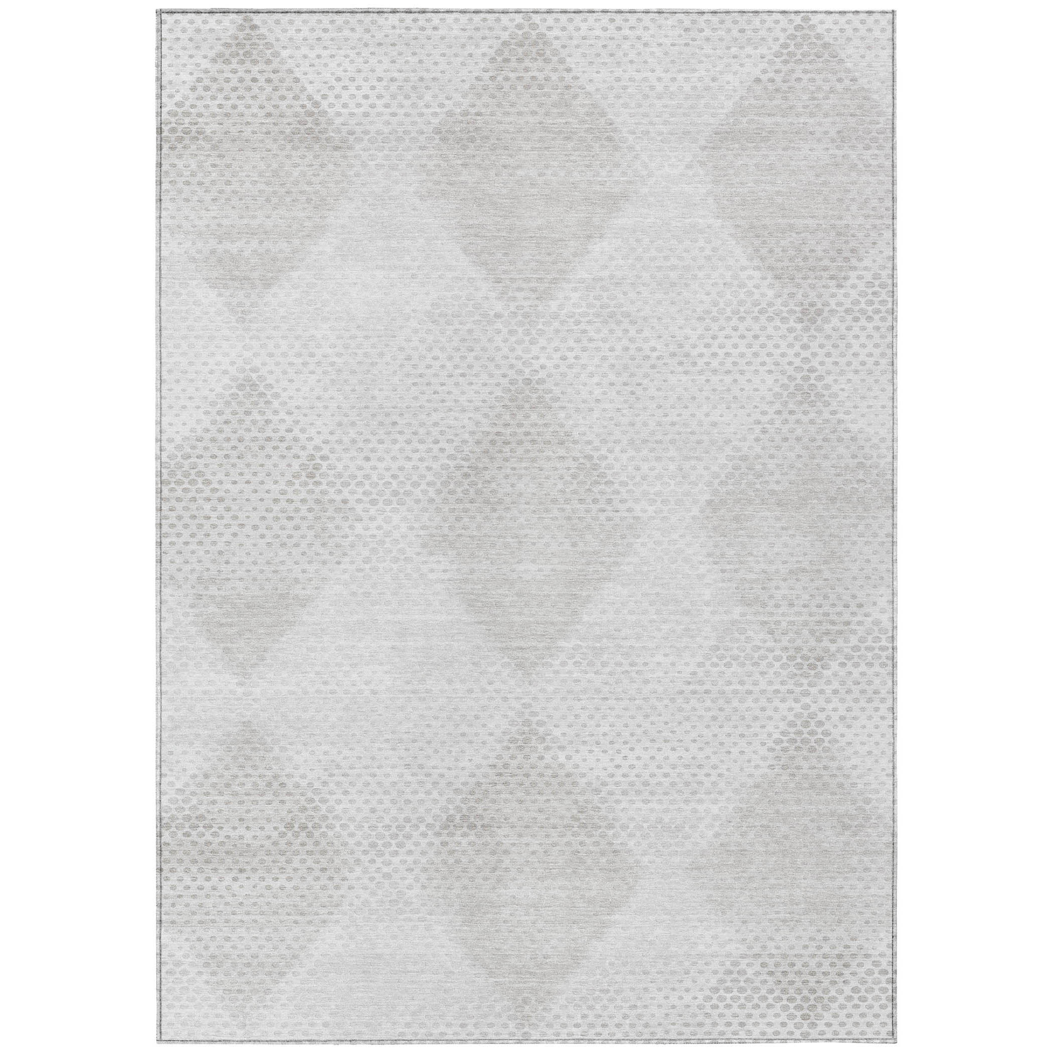 Addison Rugs ACN539IV30X46 rugs - View #2