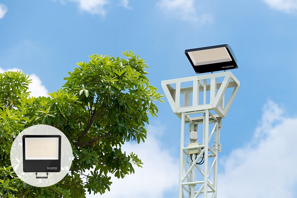 Lithonia Lighting ESXF5ALOSWW2YSDDB Dusk-Dawn-Lighting - View #11