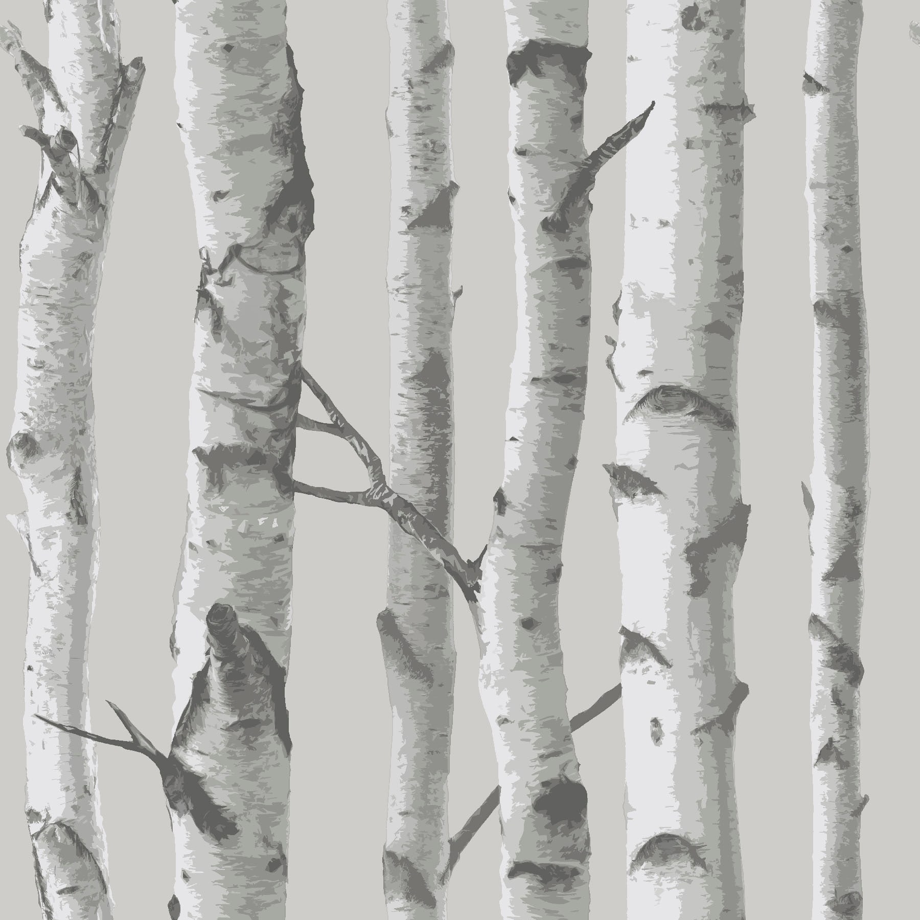 RoomMates Birch Trees Peel and Stick Wall Paper  The Home Depot Canada