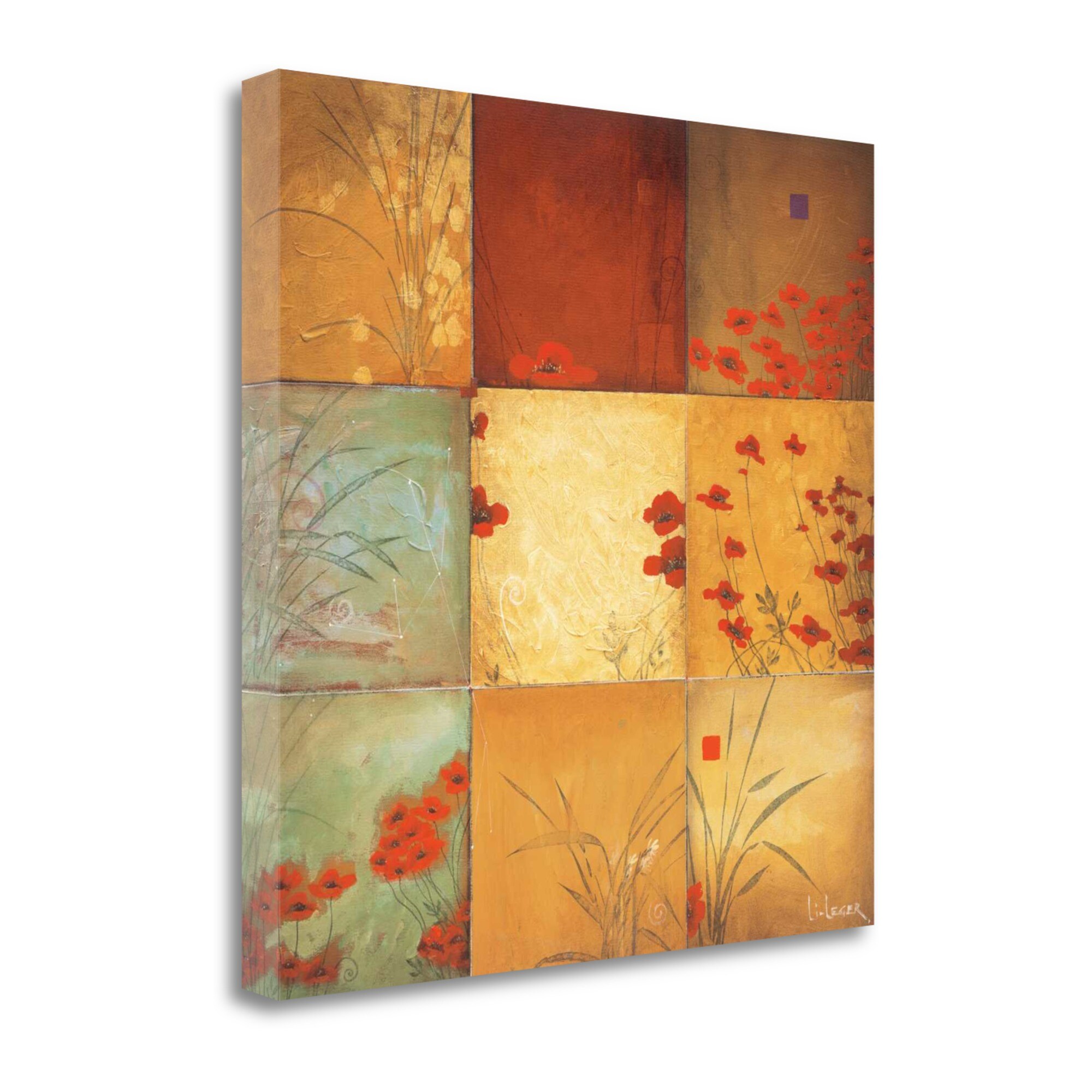 Tangletown Fine Art CA304028-3030C Poppy Nine Patch Don Li-leger 30-in H x 30-in W Abstract Print on Canvas