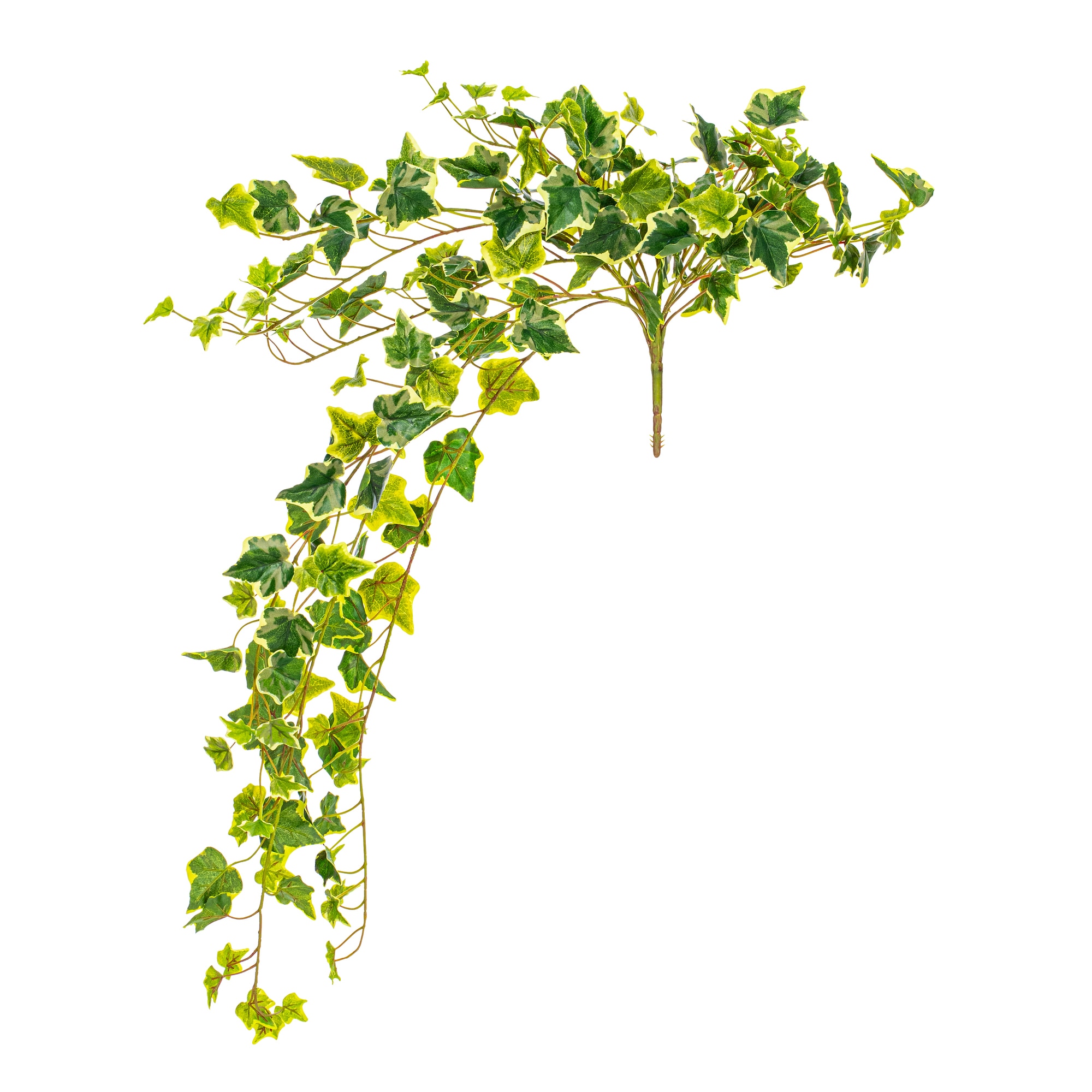 Vickerman FZ190234 34-in Green Indoor Hanging Ivy Artificial plant