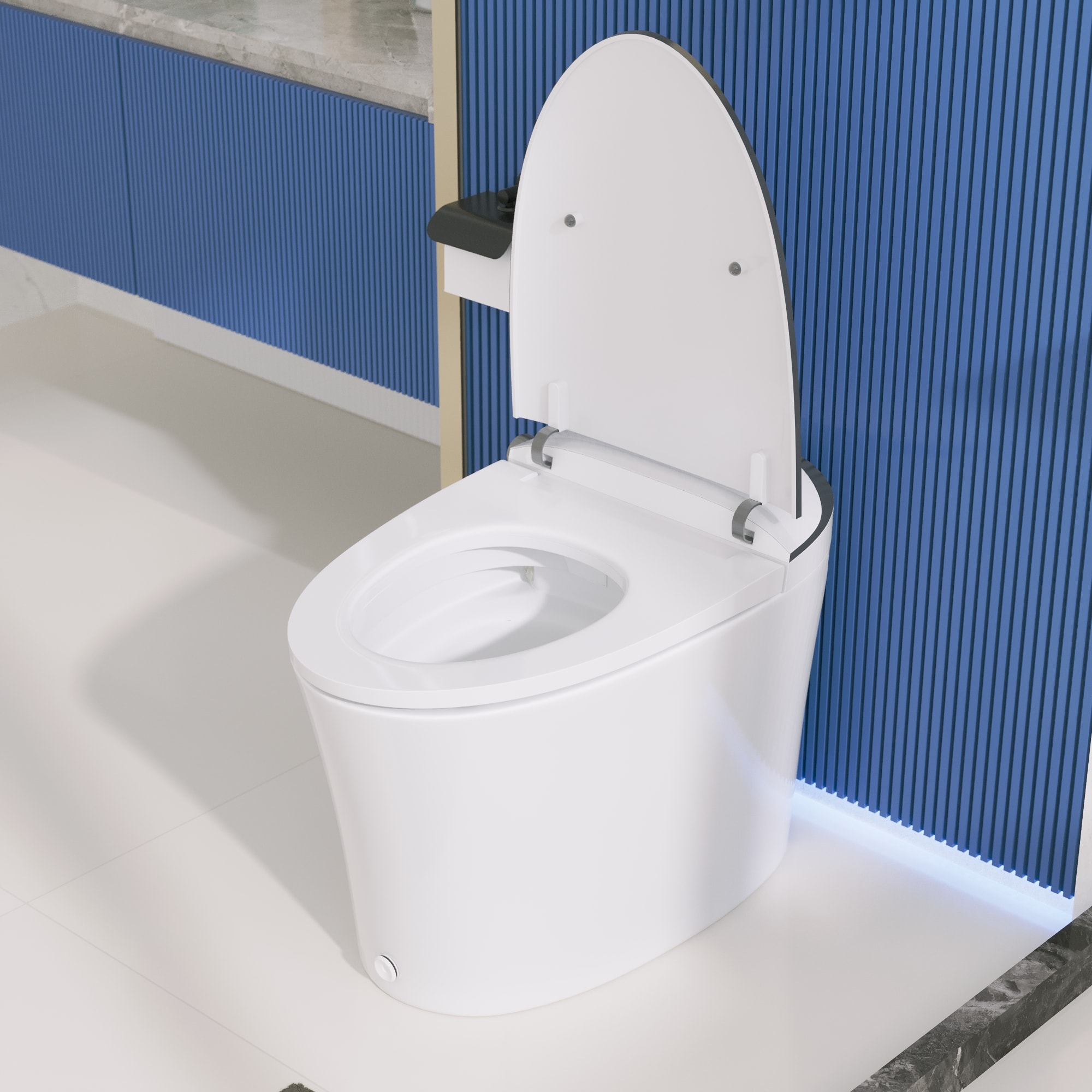 DeerValley DV-1S0019-V1 toilets - View #13