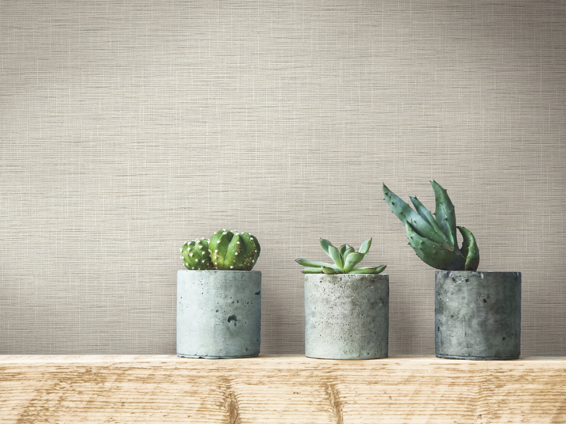 York Wallcoverings FH4056 wallpaper - View #2