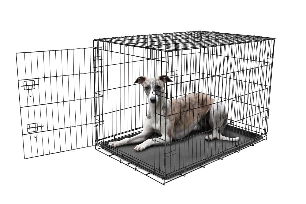 Small Carlson Pink Secure and Compact Single Door Metal Dog Crate 