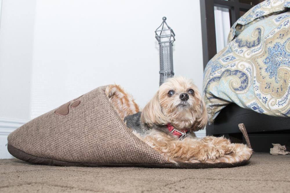 Pet Life PB12BRLG Pet-Beds - View #2