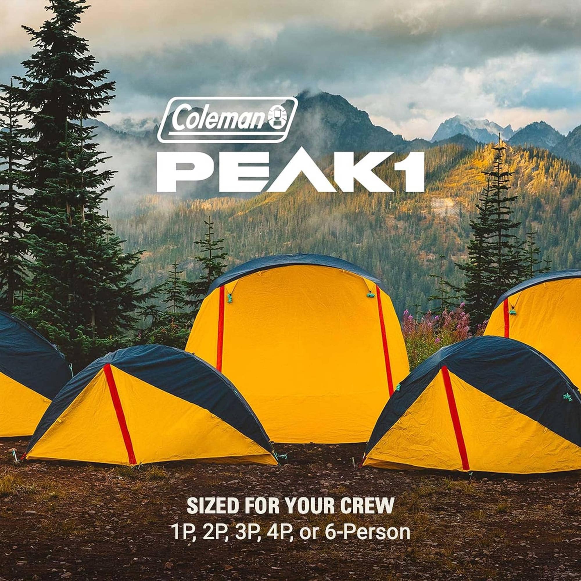 Coleman 399983 tents - View #7