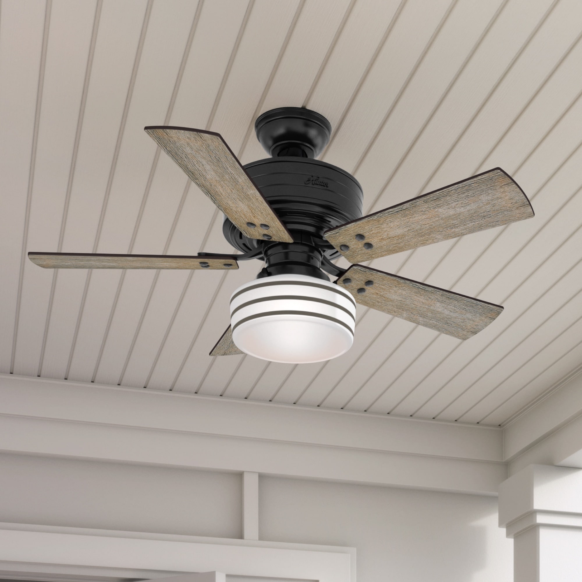Hunter 54149 Ceiling-Fans - View #4