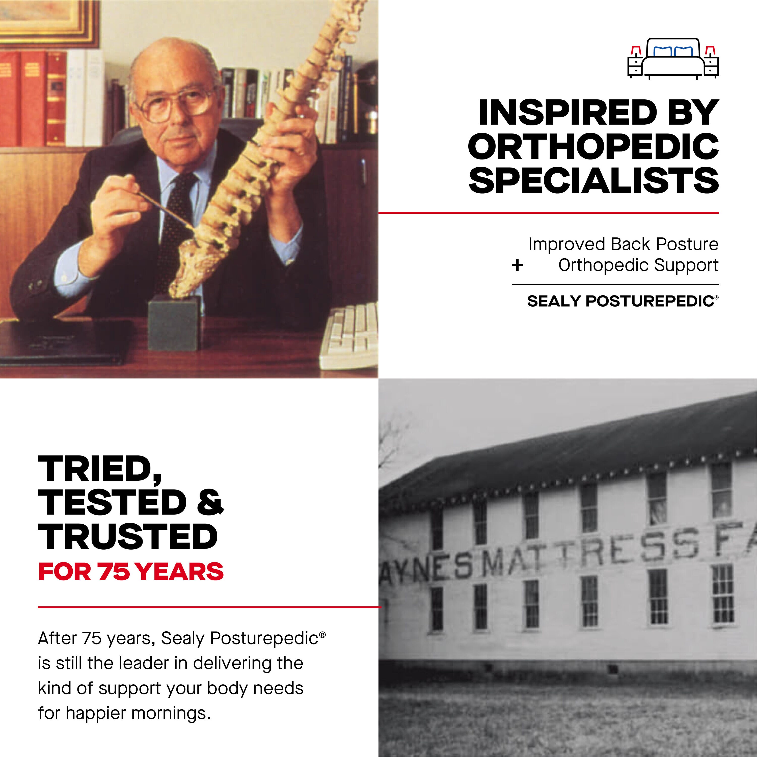 Sealy 53200032 Mattresses-Boxsprings - View #17