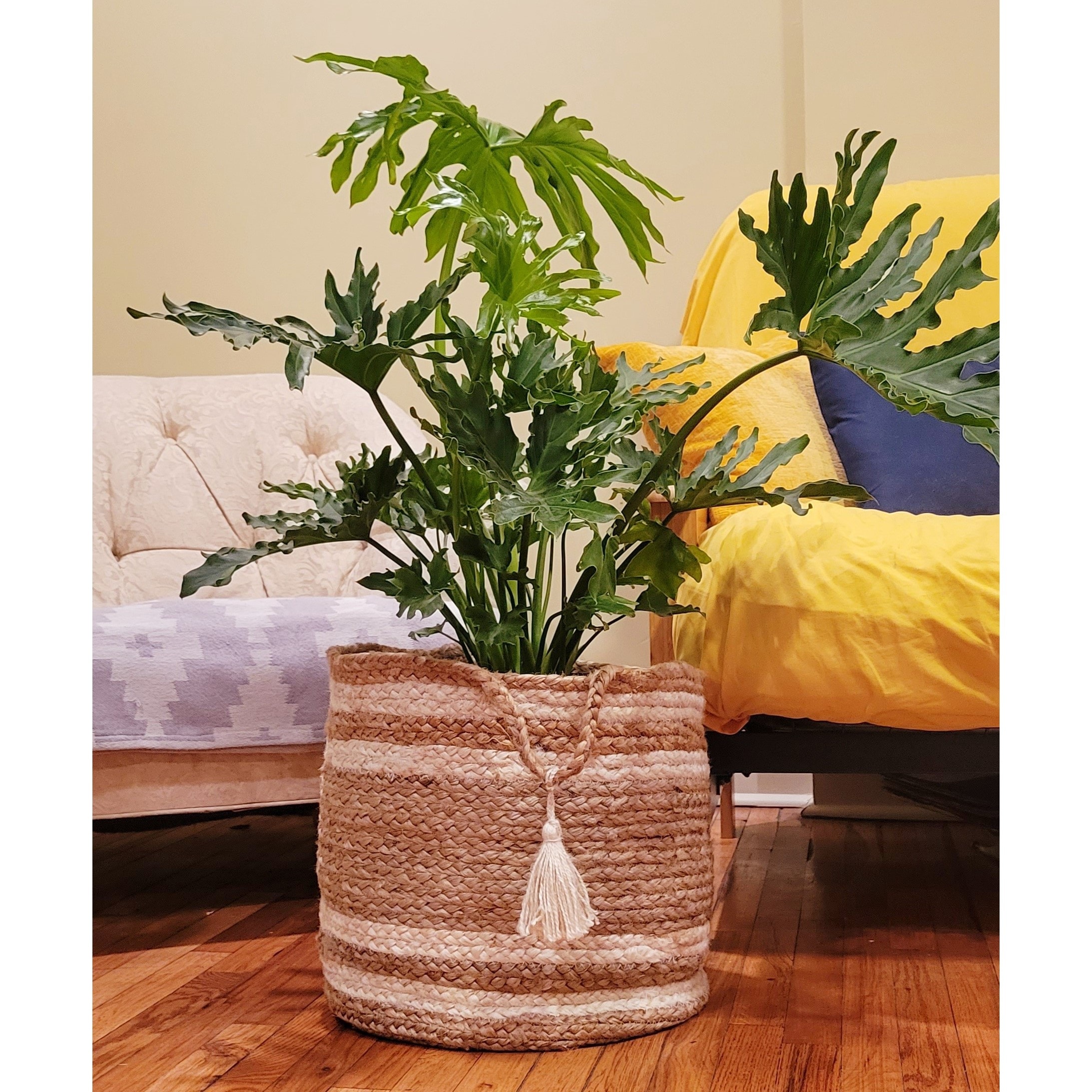 LR Home 7590A6984934J8 Bins-Baskets - View #7