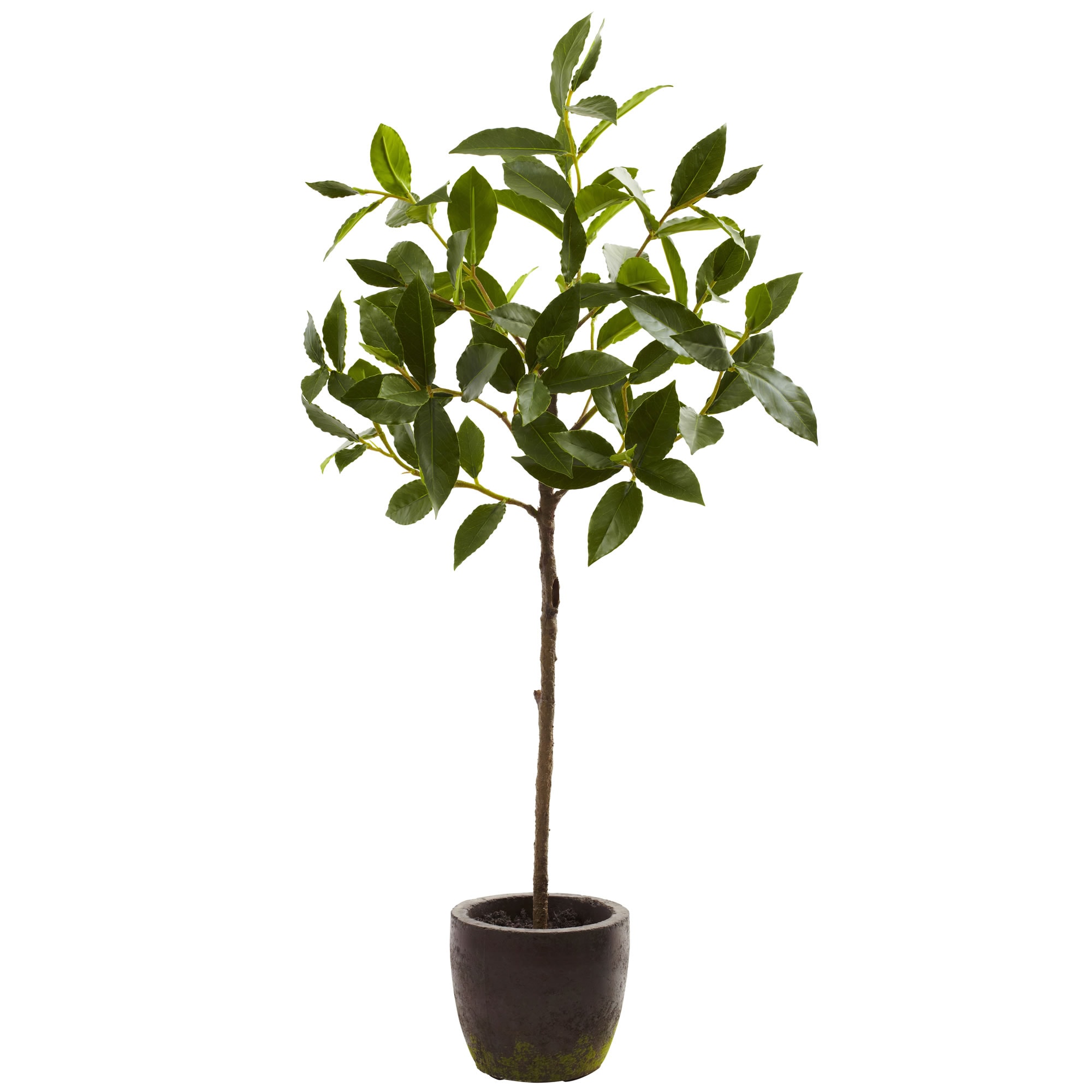 Nearly Natural 5423 29-Inches Green Indoor Floor Silk Artificial tree