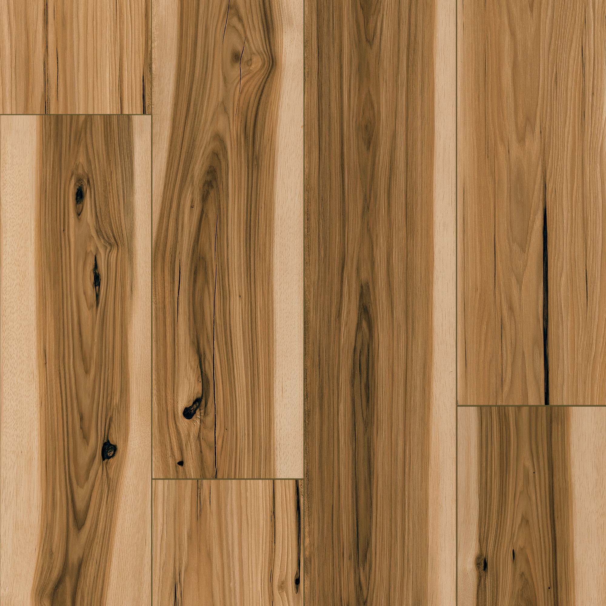Laminate Brand STAINMASTER PetProtect
