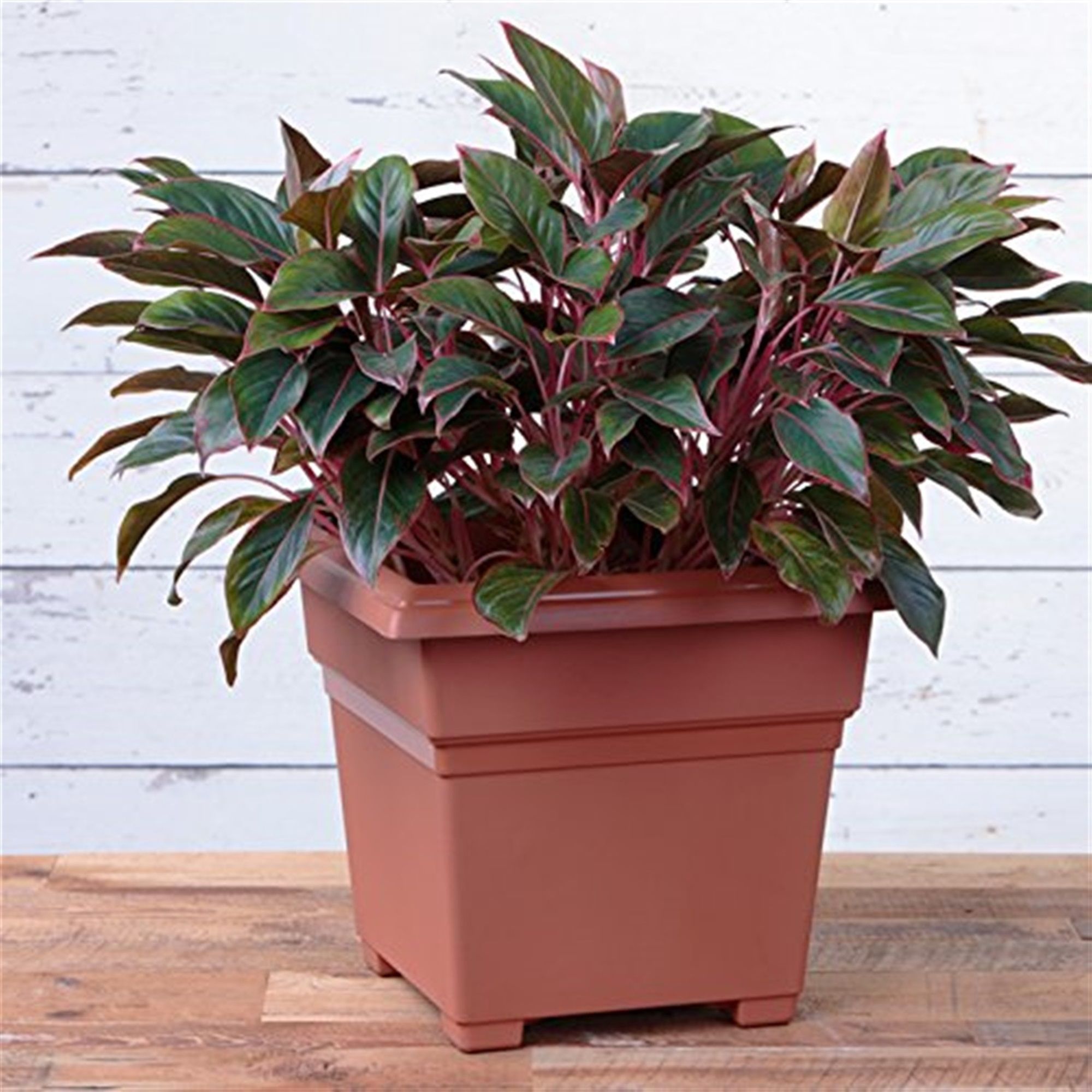 Novelty Manufacturing 026978261854 Planter-Window-Box - View #4