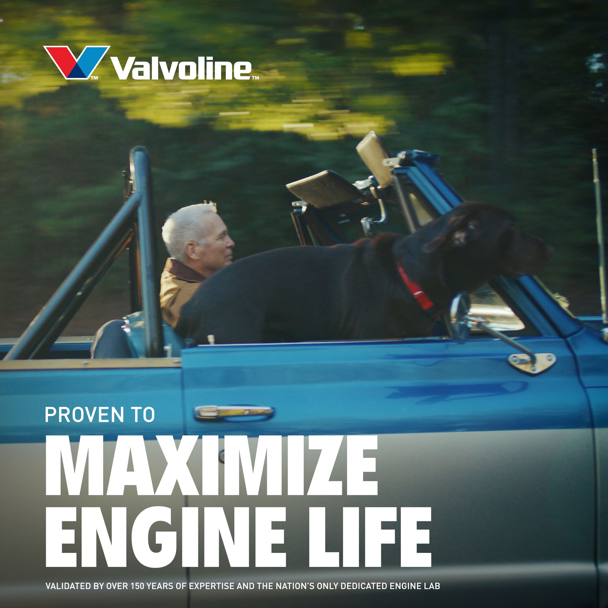 Valvoline VV1556 Motor-Oil - View #8