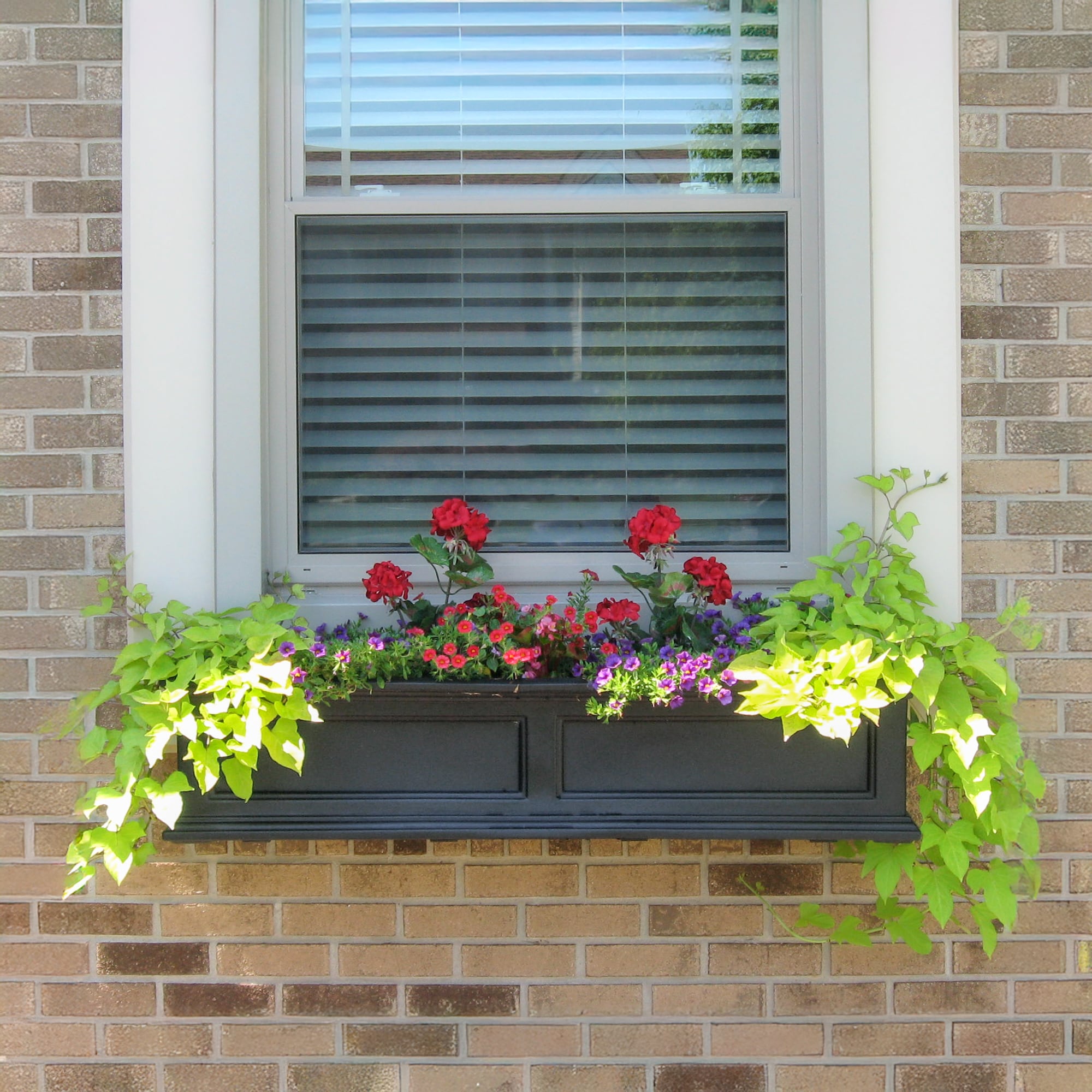 Mayne 5823-B Planter-Window-Box - View #13