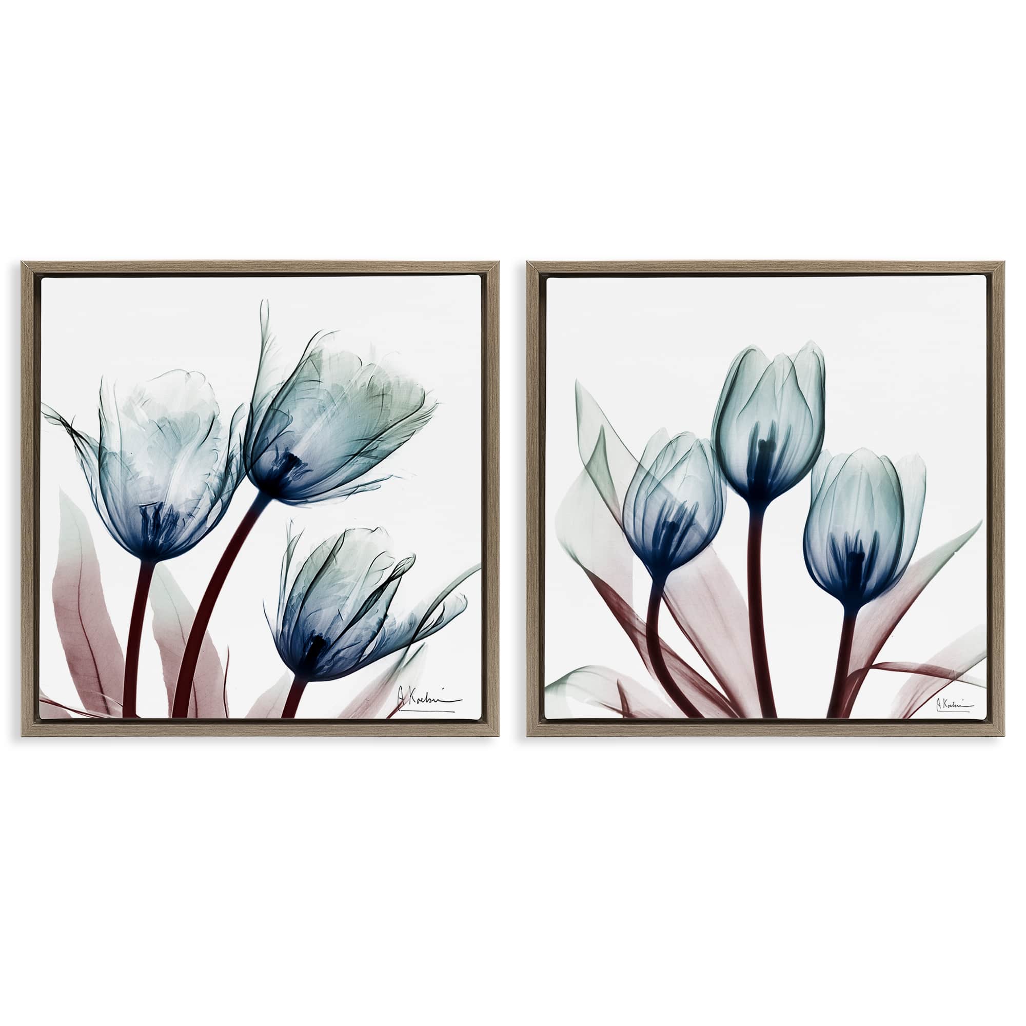 Stupell Industries B2-707-FFE-2PC-24X24 Vibrant Blue Tulips 2pc Floating Frame Set design by Albert Koetsier