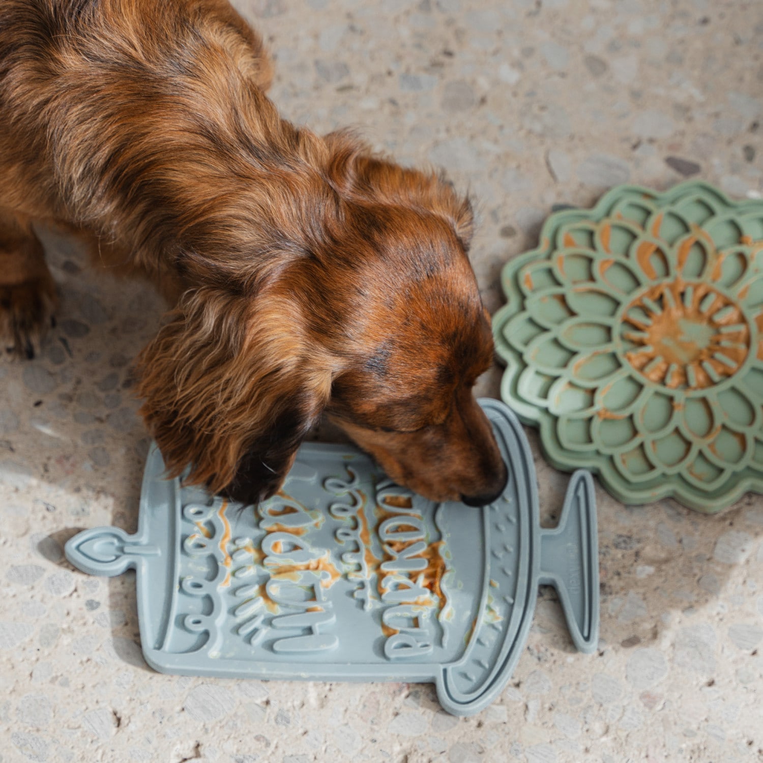 Dexypaws G0871789002062 Pet-Feeder - Thumbnail View #3